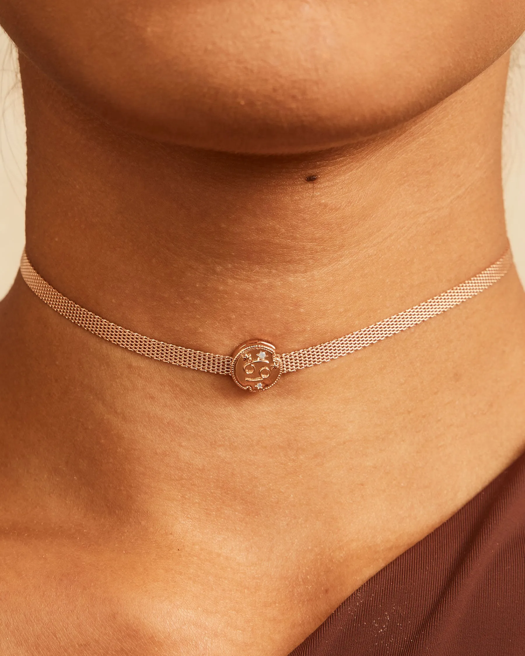 Charm Clip Cancer Horoscope - The Gray Box sold by Apodemia product image thumbnail 2