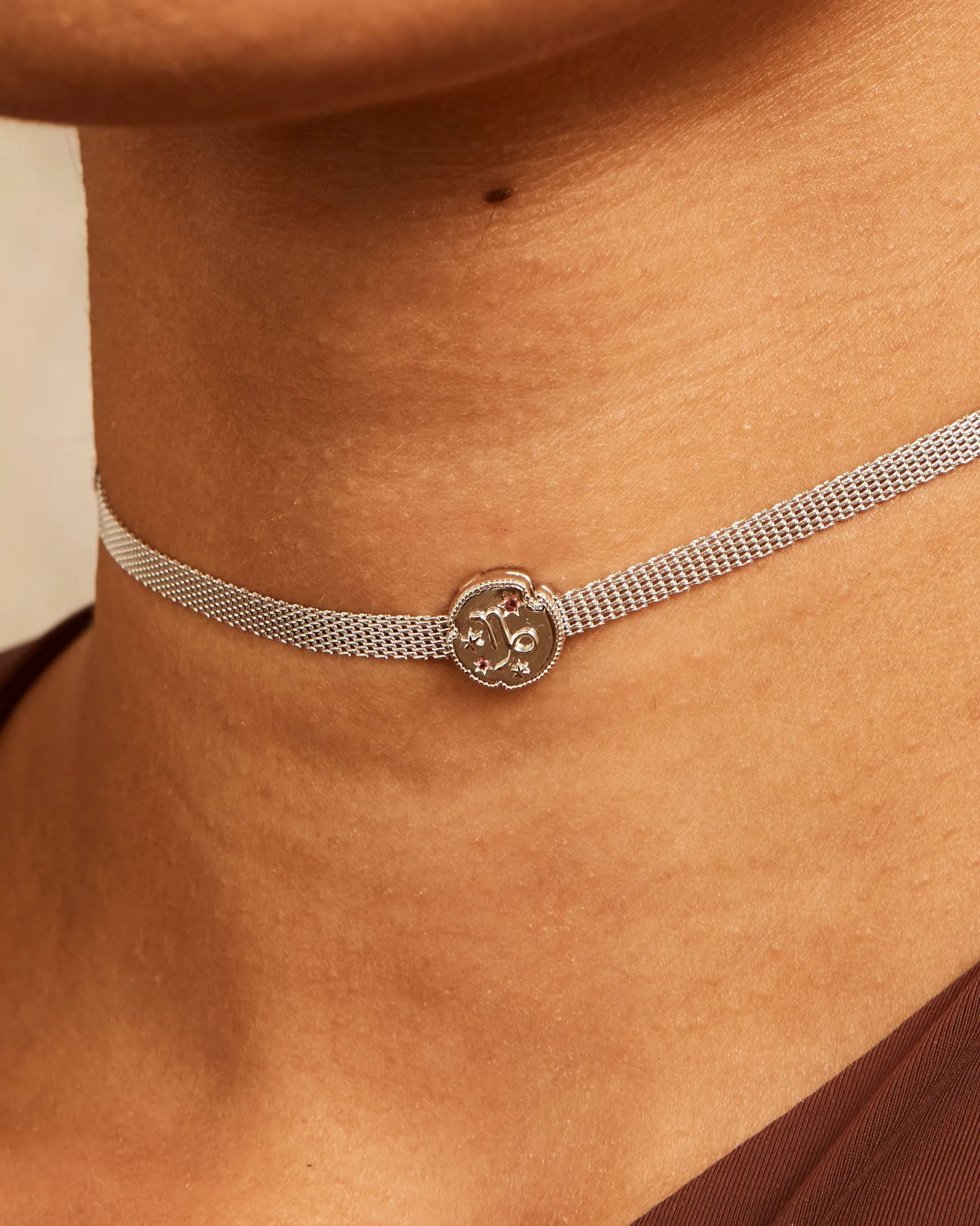 Capricorn Horoscope Charm Clip | The Gray Box sold by Apodemia product image thumbnail 2