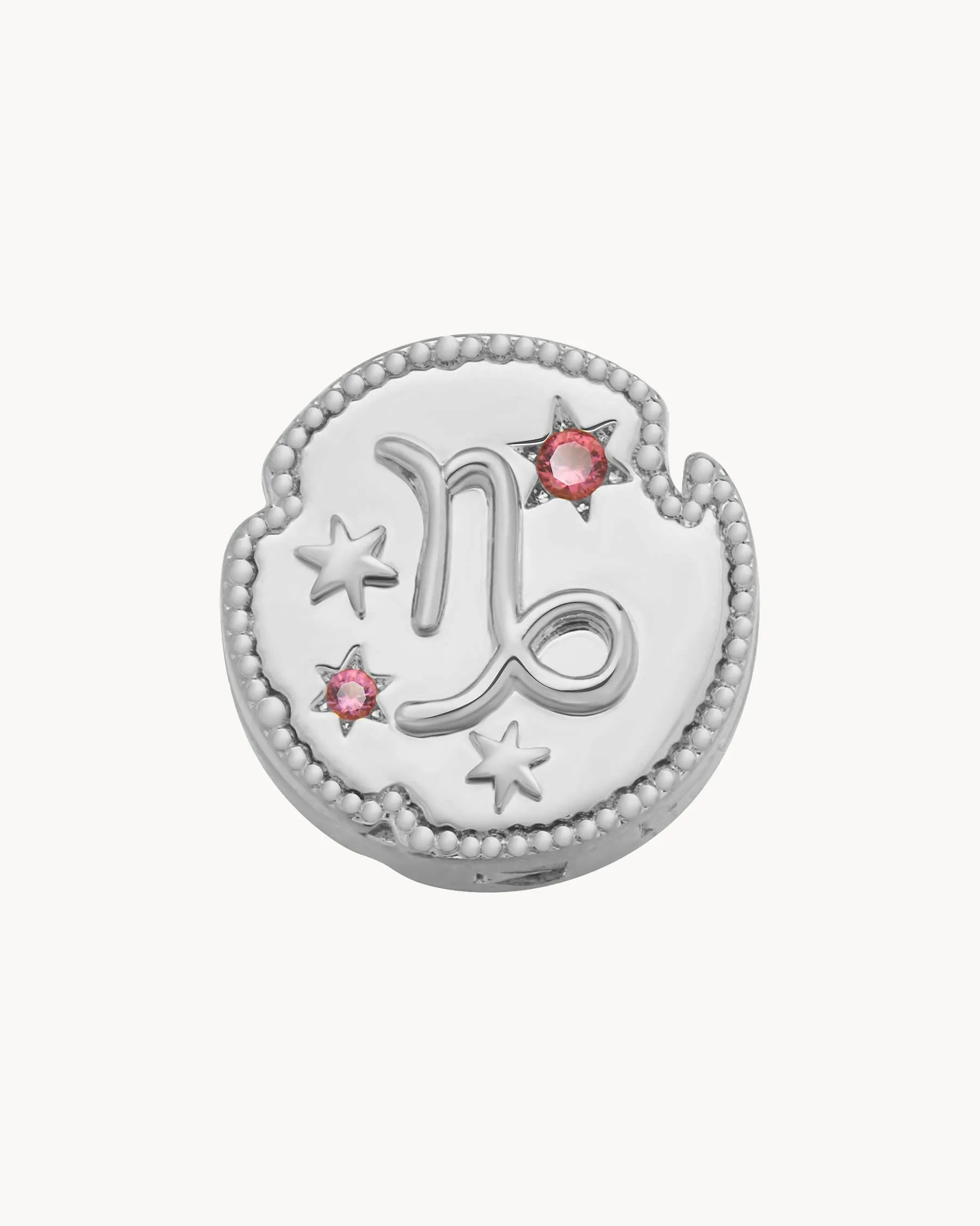 Capricorn Horoscope Charm Clip | The Gray Box sold by Apodemia