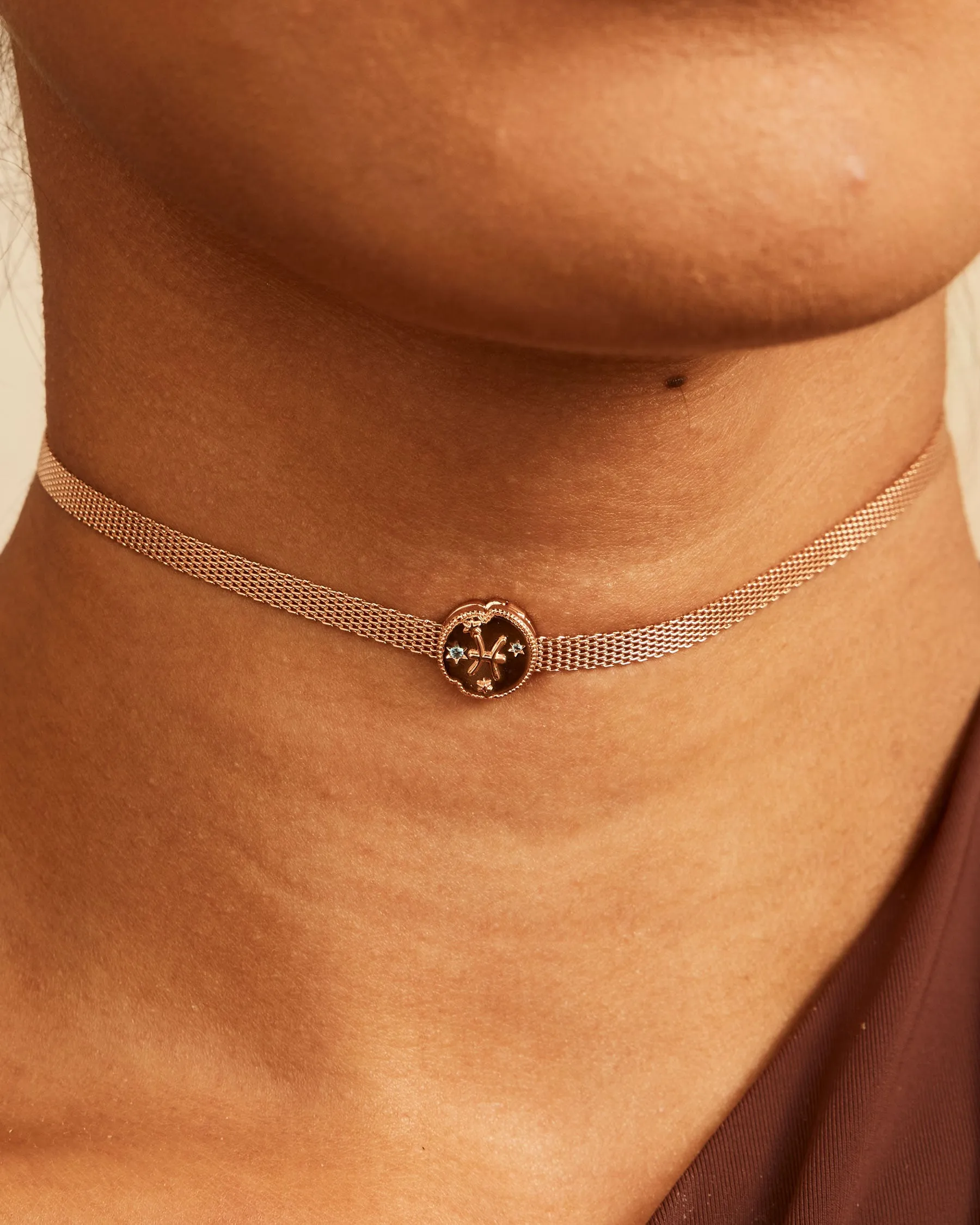 Pisces Horoscope Charm Clip | The Gray Box sold by Apodemia product image thumbnail 2