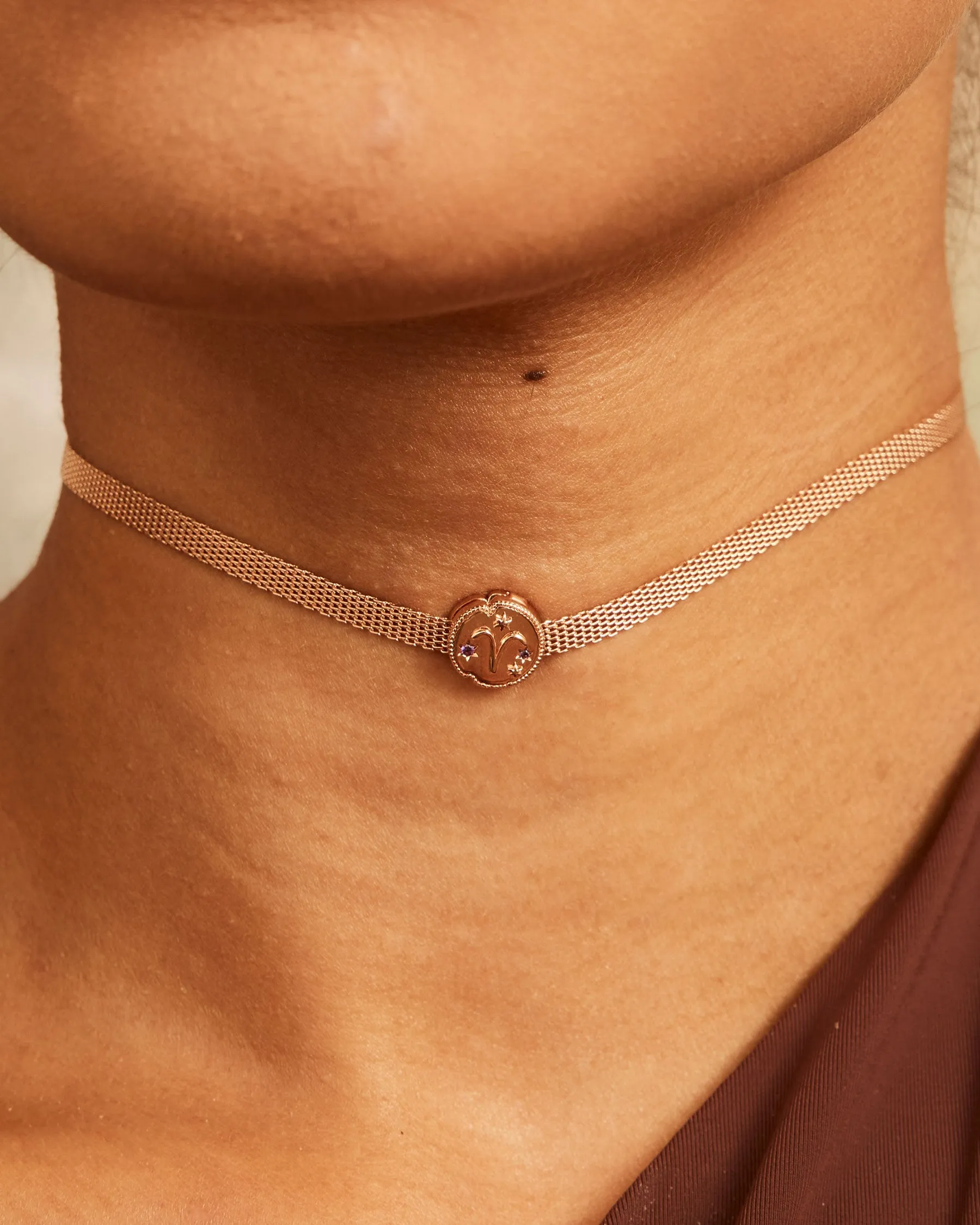 Aries Horoscope Charm Clip | The Gray Box sold by Apodemia product image thumbnail 2