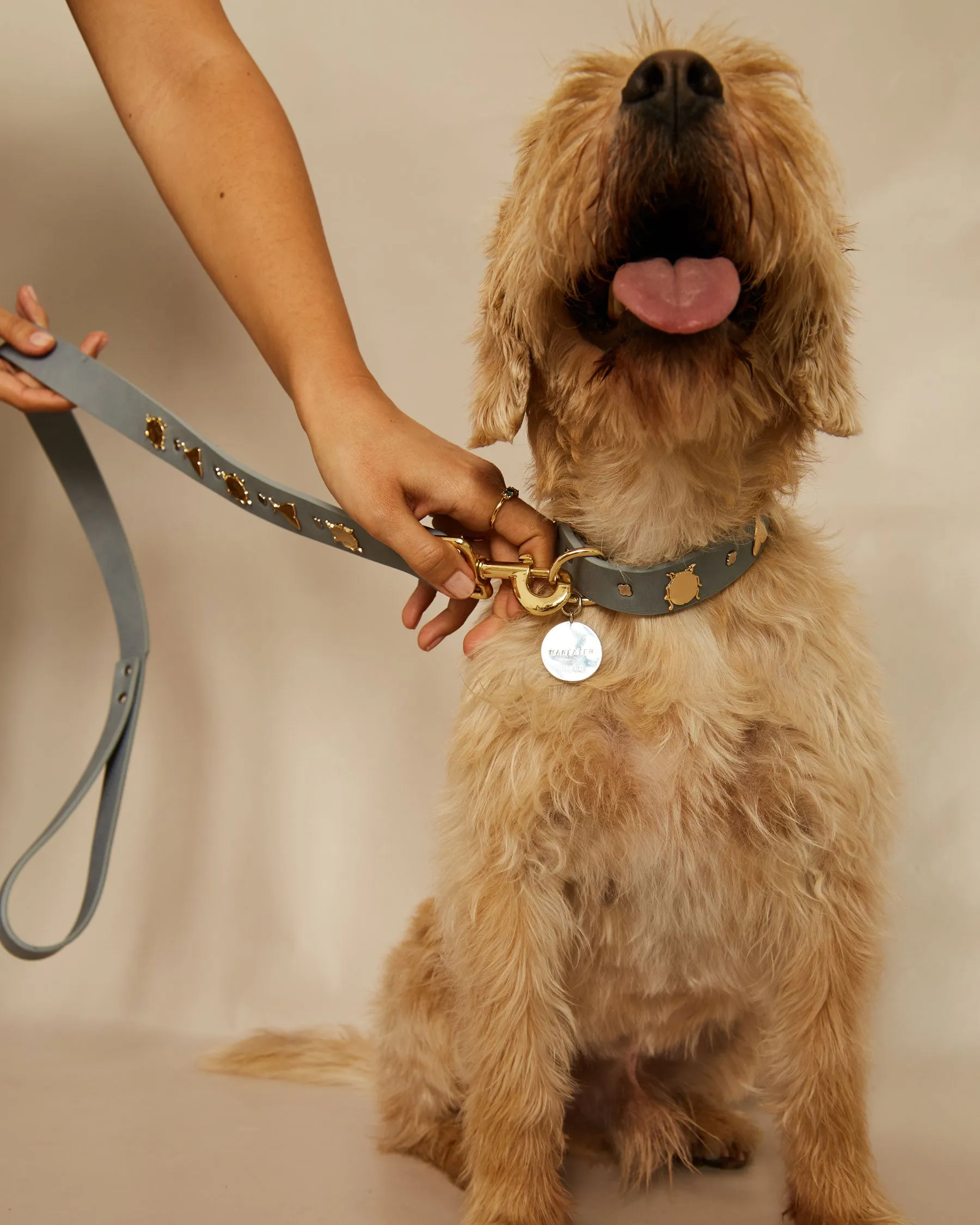 Tag Maneater | Personalize sold by Apodemia product image thumbnail 5