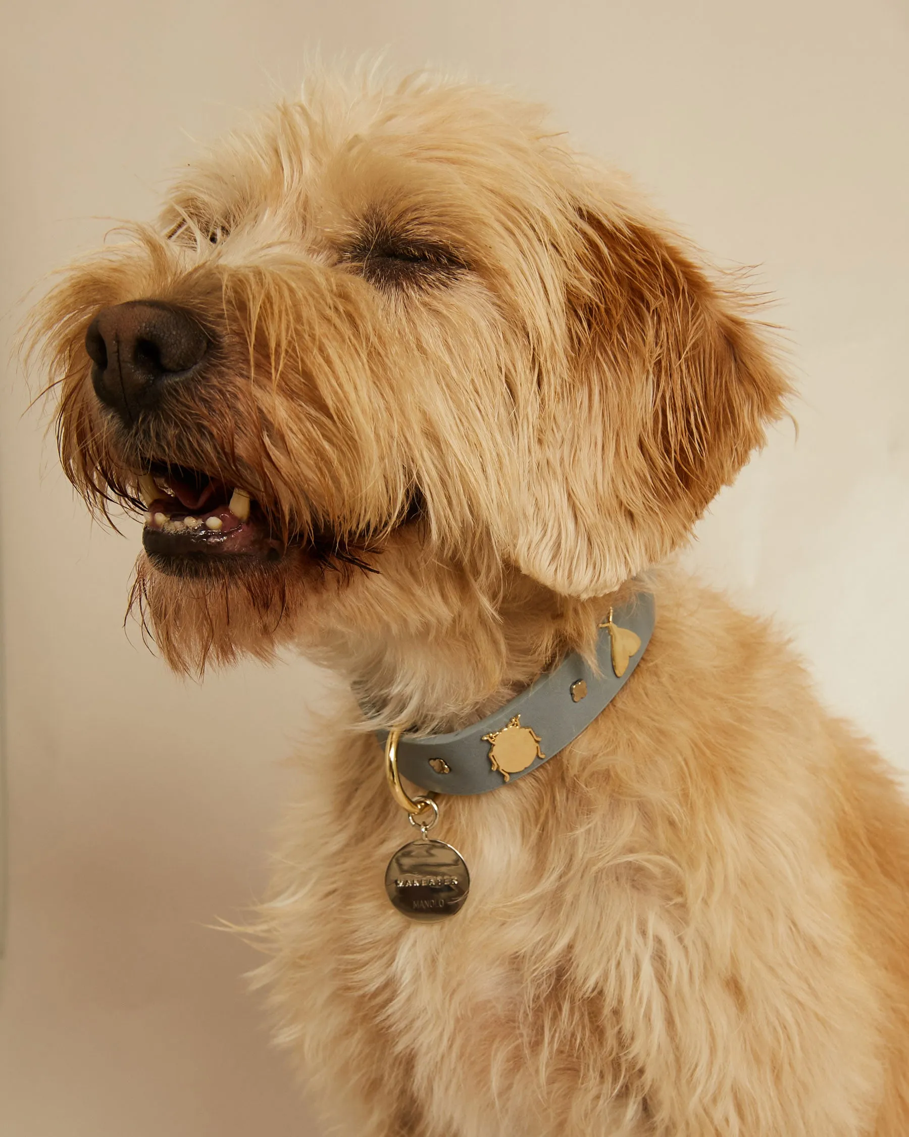 Tag Maneater | Personalize sold by Apodemia product image thumbnail 2