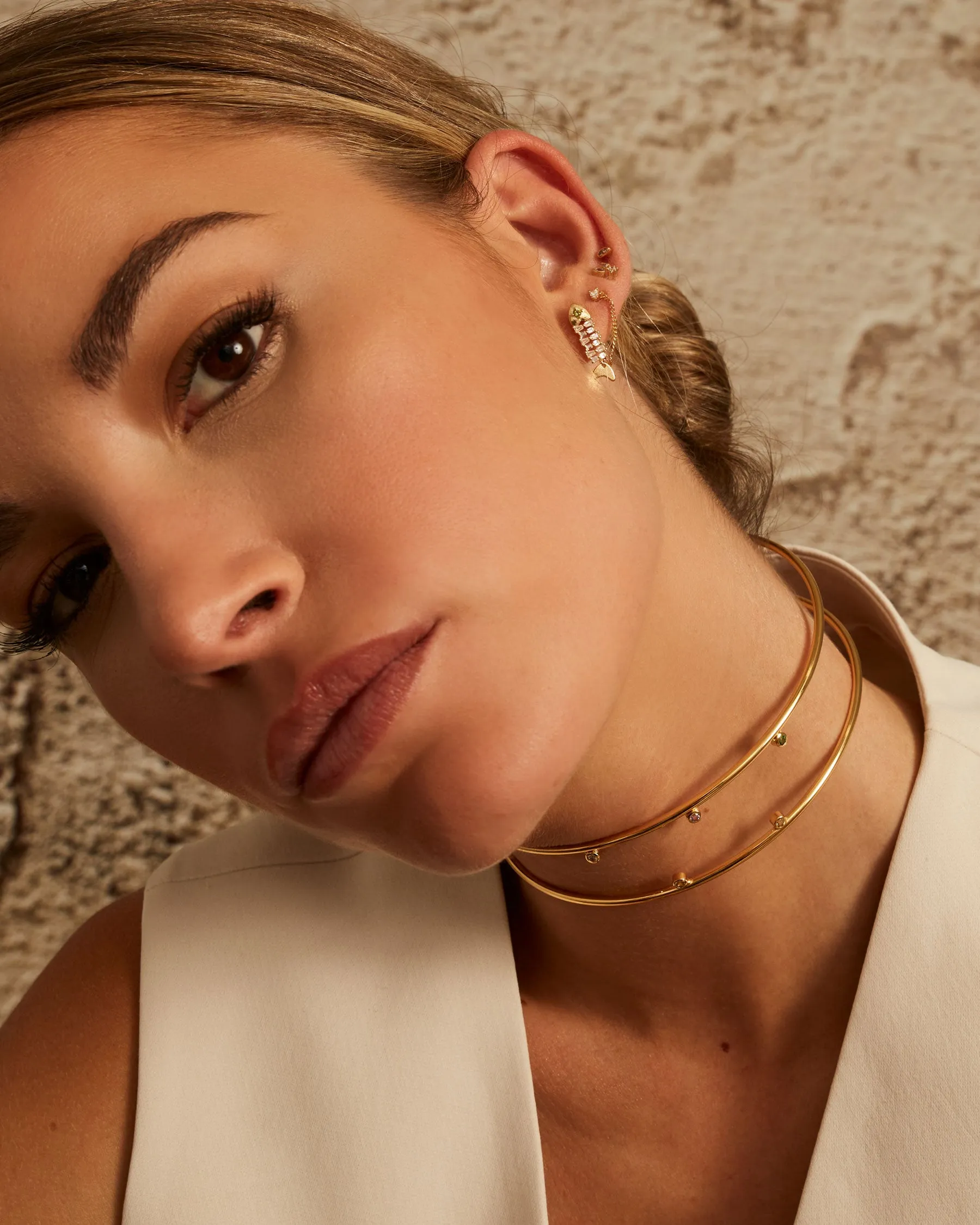 Classic Multicolor Rigid Choker sold by Apodemia