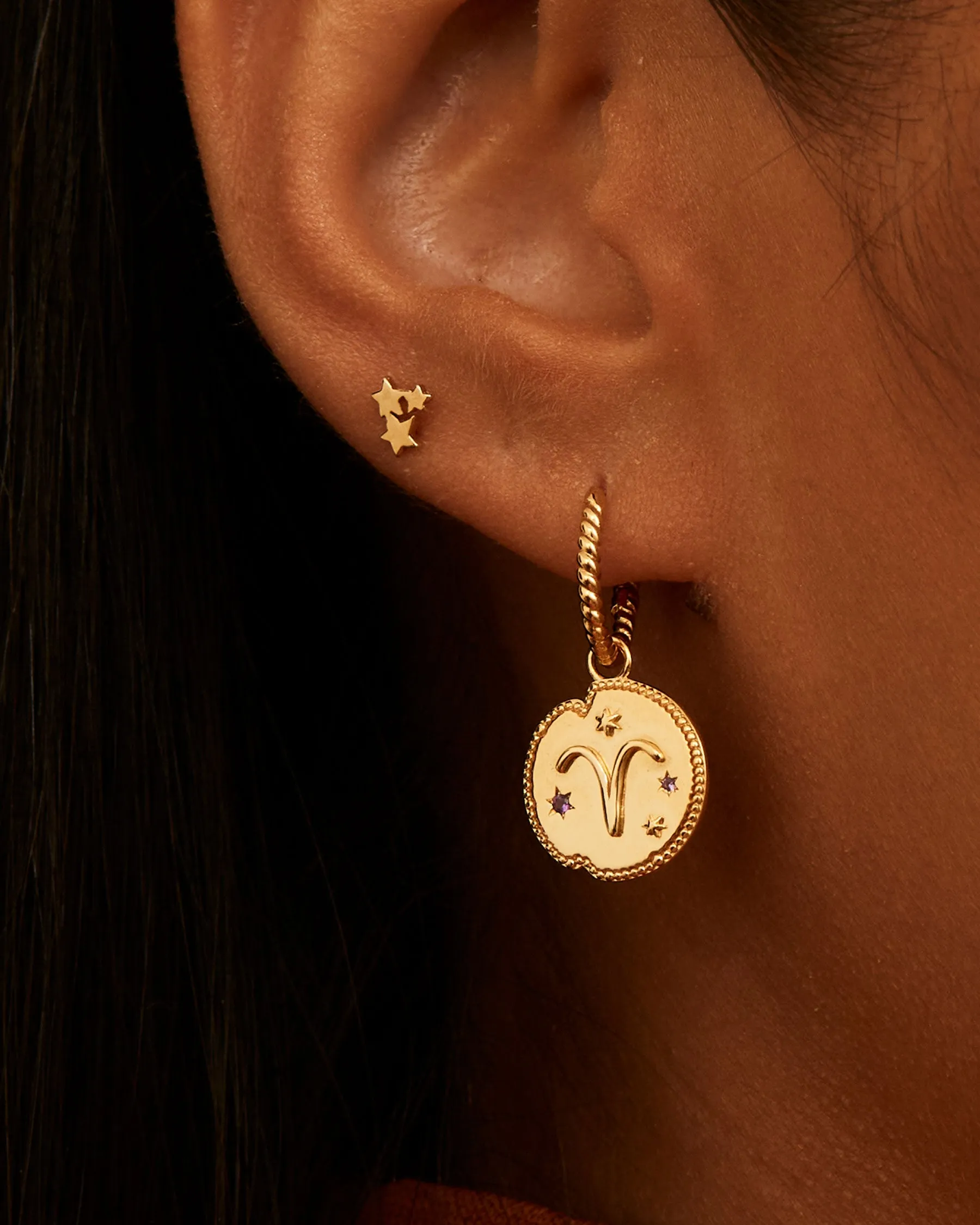 Aries Horoscope Charm sold by Apodemia product image thumbnail 5