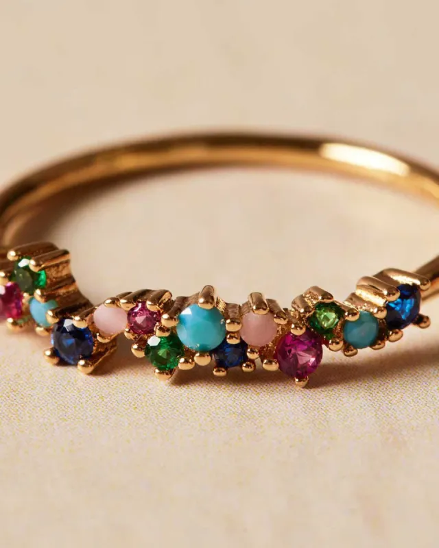 Guadaloupe Tutti Frutti Ring | The Gray Box sold by Apodemia