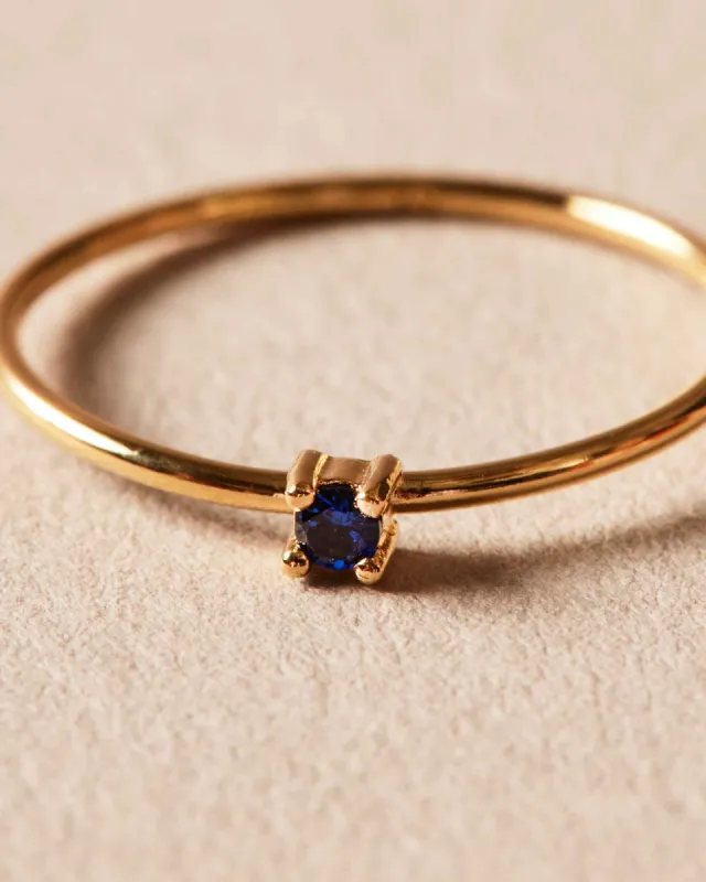 Reef Simple Ring - The Gray Box sold by Apodemia