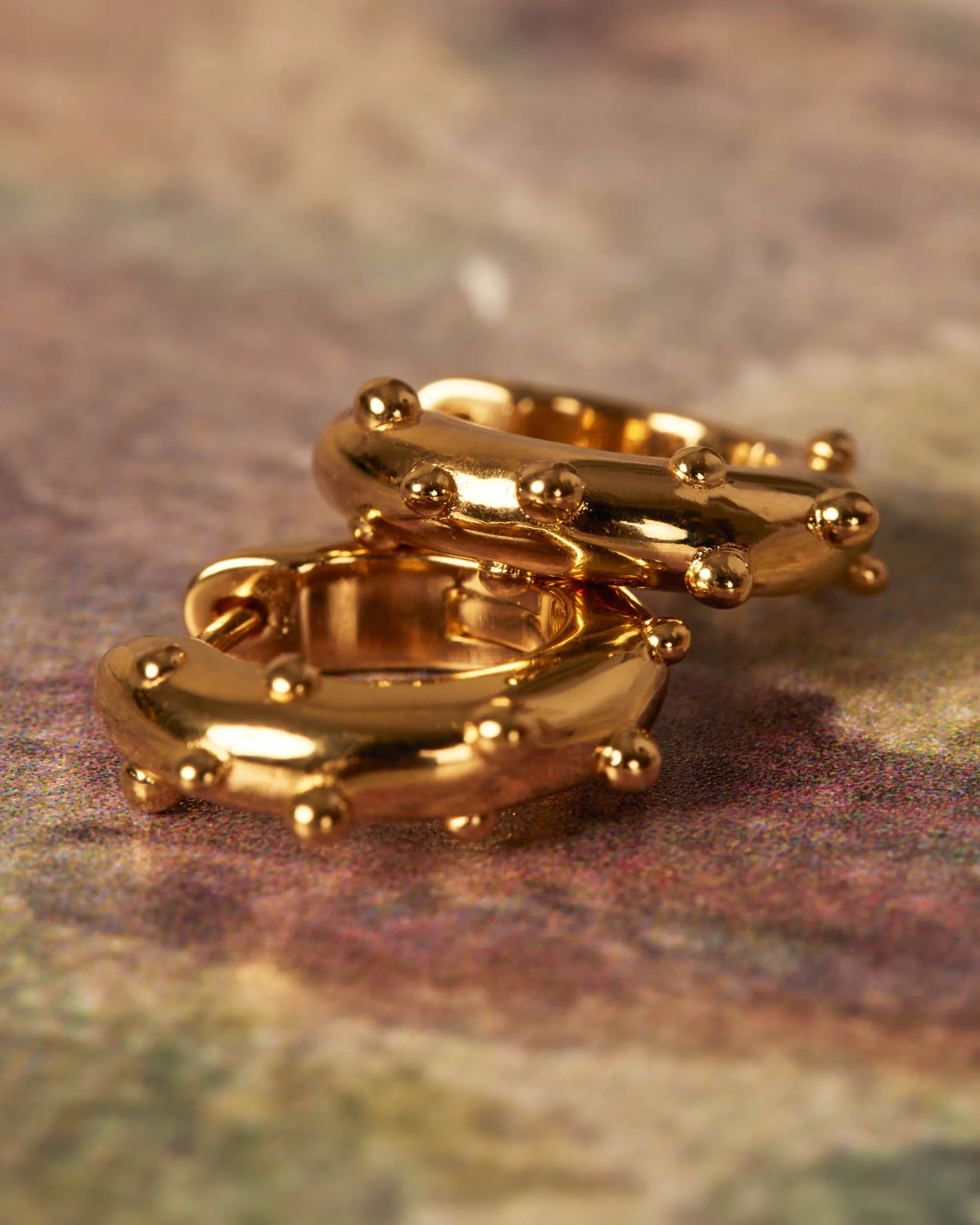 Dragonfly Hoop Earrings : The Gray Box sold by Apodemia