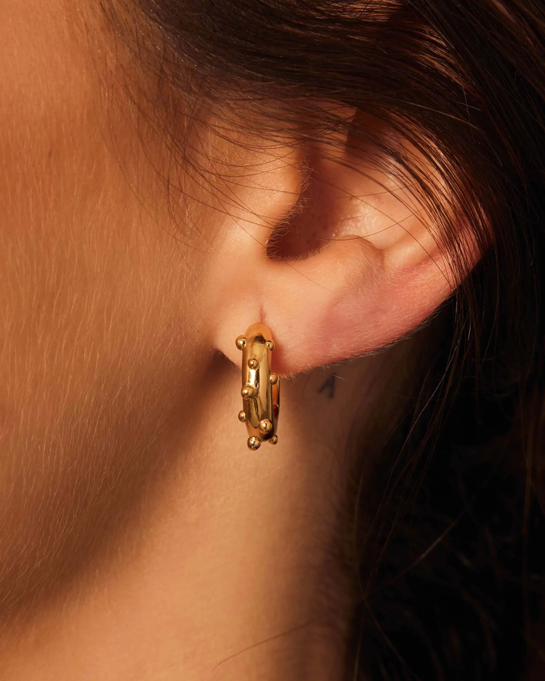 Dragonfly Hoop Earrings : The Gray Box sold by Apodemia product image thumbnail 3