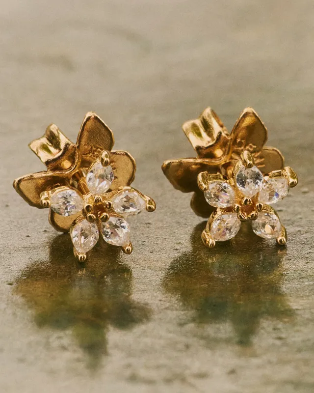 Mini Olivia Wild Earrings sold by Apodemia