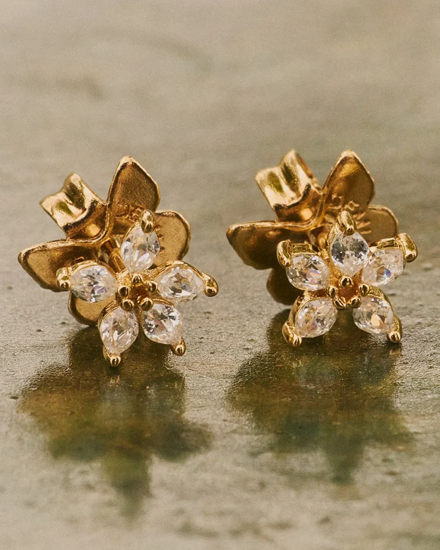 Mini Olivia Wild Earrings sold by Apodemia