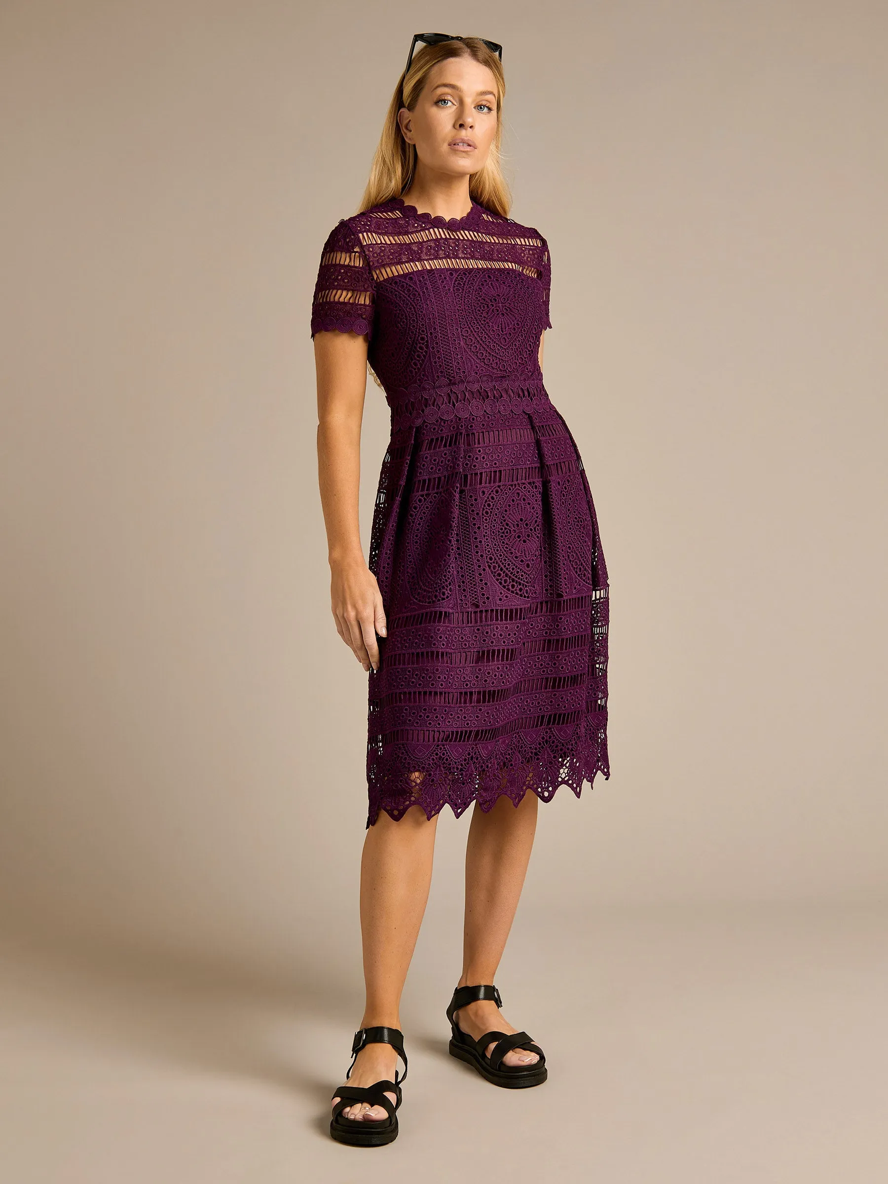GWD Nicola All-over Lace Purple Knee Length Dress sold by George W. Davies product image thumbnail 2