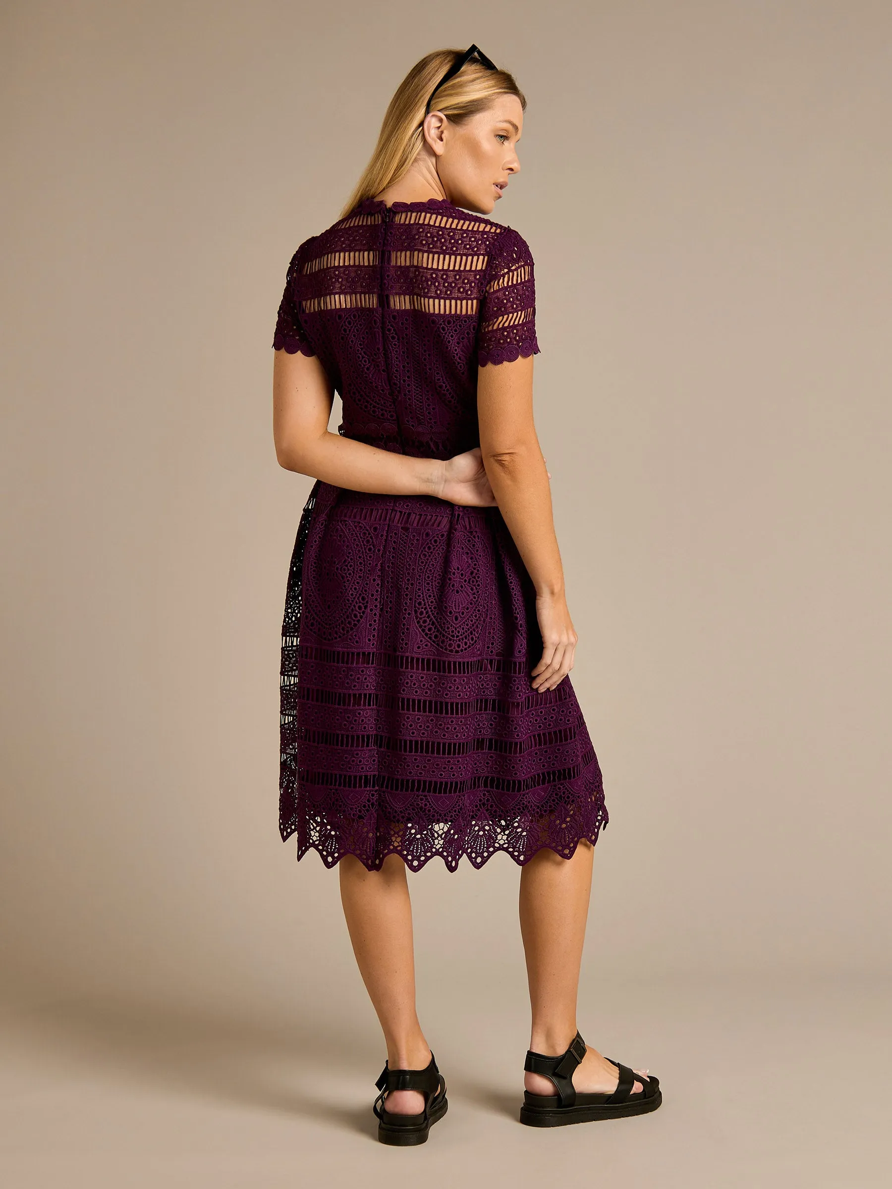 GWD Nicola All-over Lace Purple Knee Length Dress sold by George W. Davies