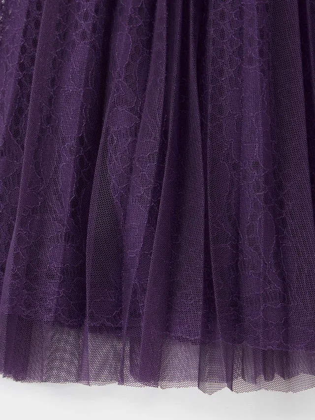 GWD Cecile Lace Mesh Dress sold by George W. Davies product image thumbnail 5