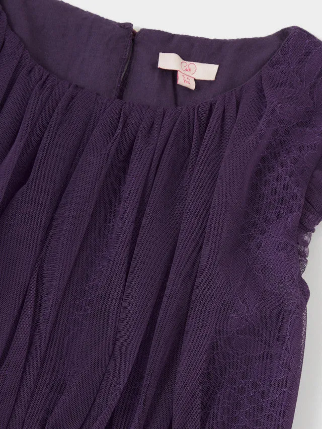 GWD Cecile Lace Mesh Dress sold by George W. Davies product image thumbnail 4