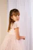 GWD Rosy Ruffles Dress – Pink Sequin & Tulle Princess Party Dress for Girls sold by George W. Davies