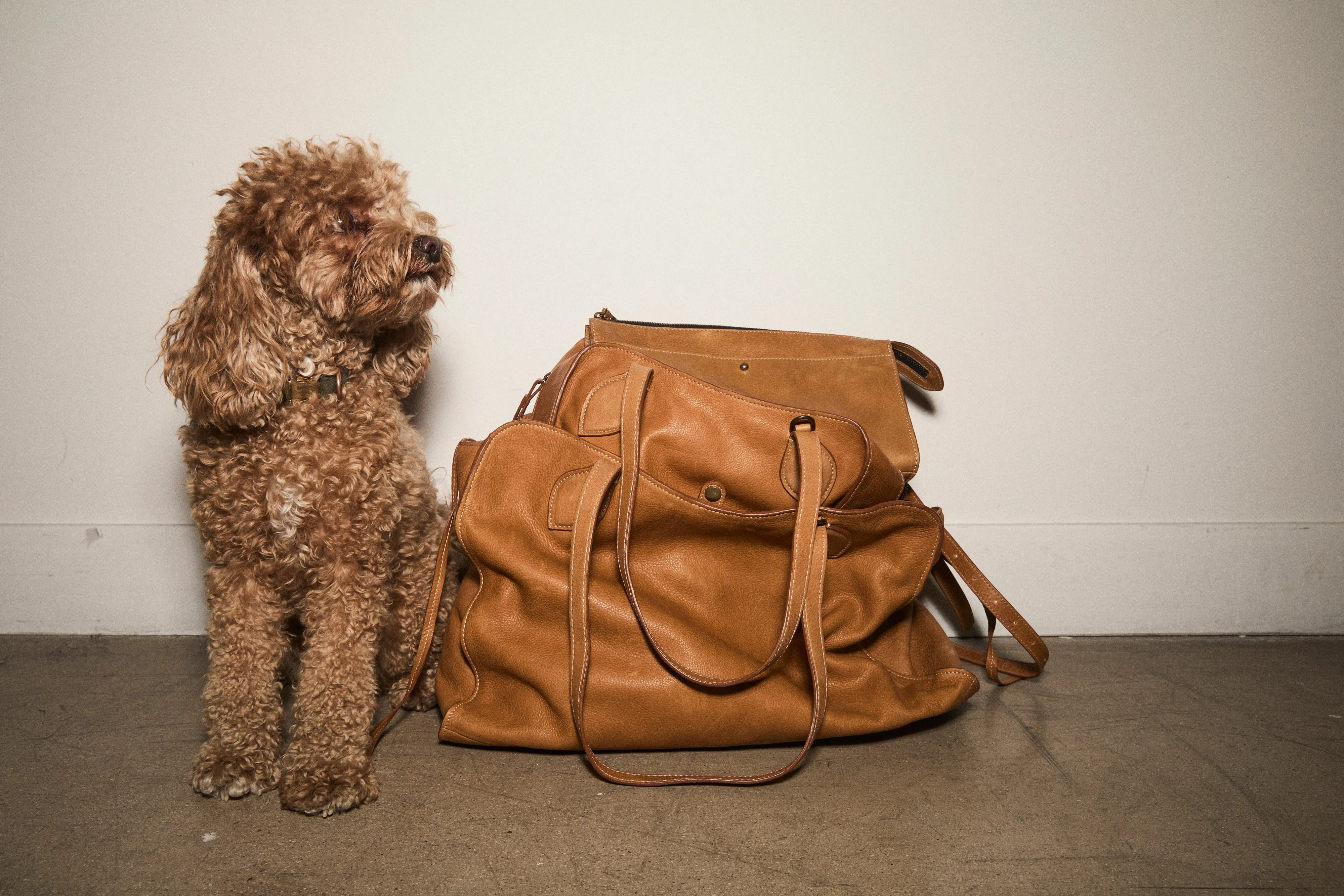 Medium Jack - Heritage "Broken-In" Leather Tan sold by Parker Thatch product image thumbnail 2