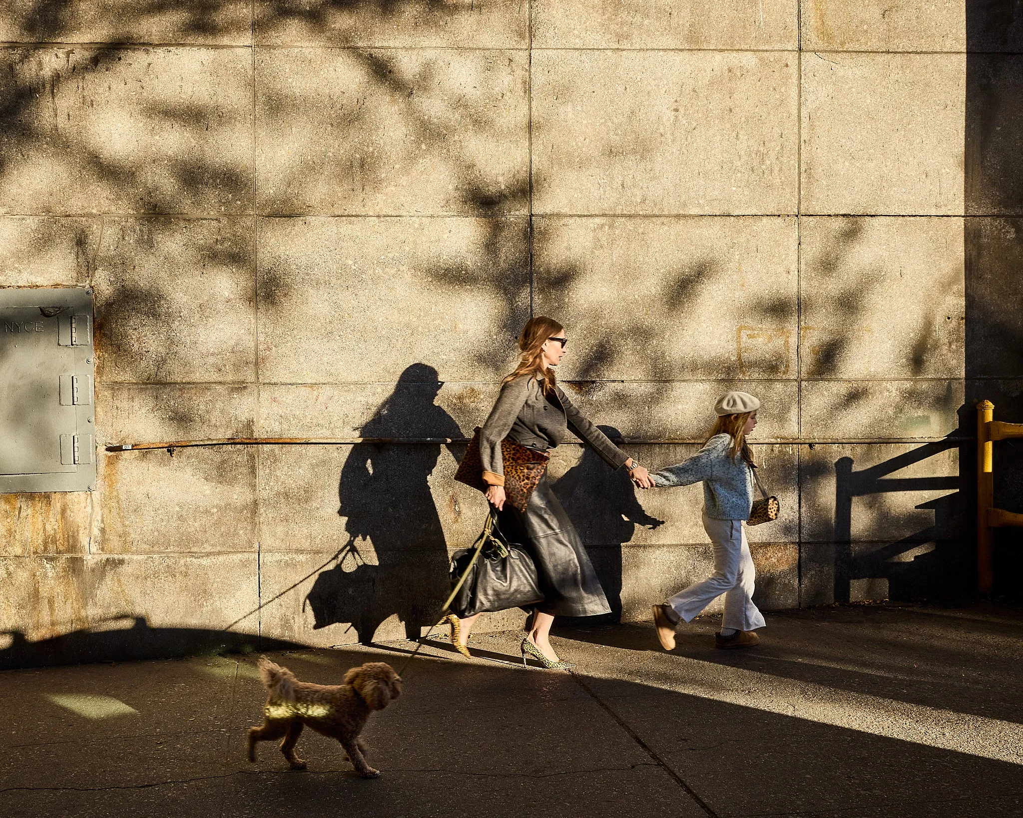 Laptop Pouch - New Leopard sold by Parker Thatch product image thumbnail 4