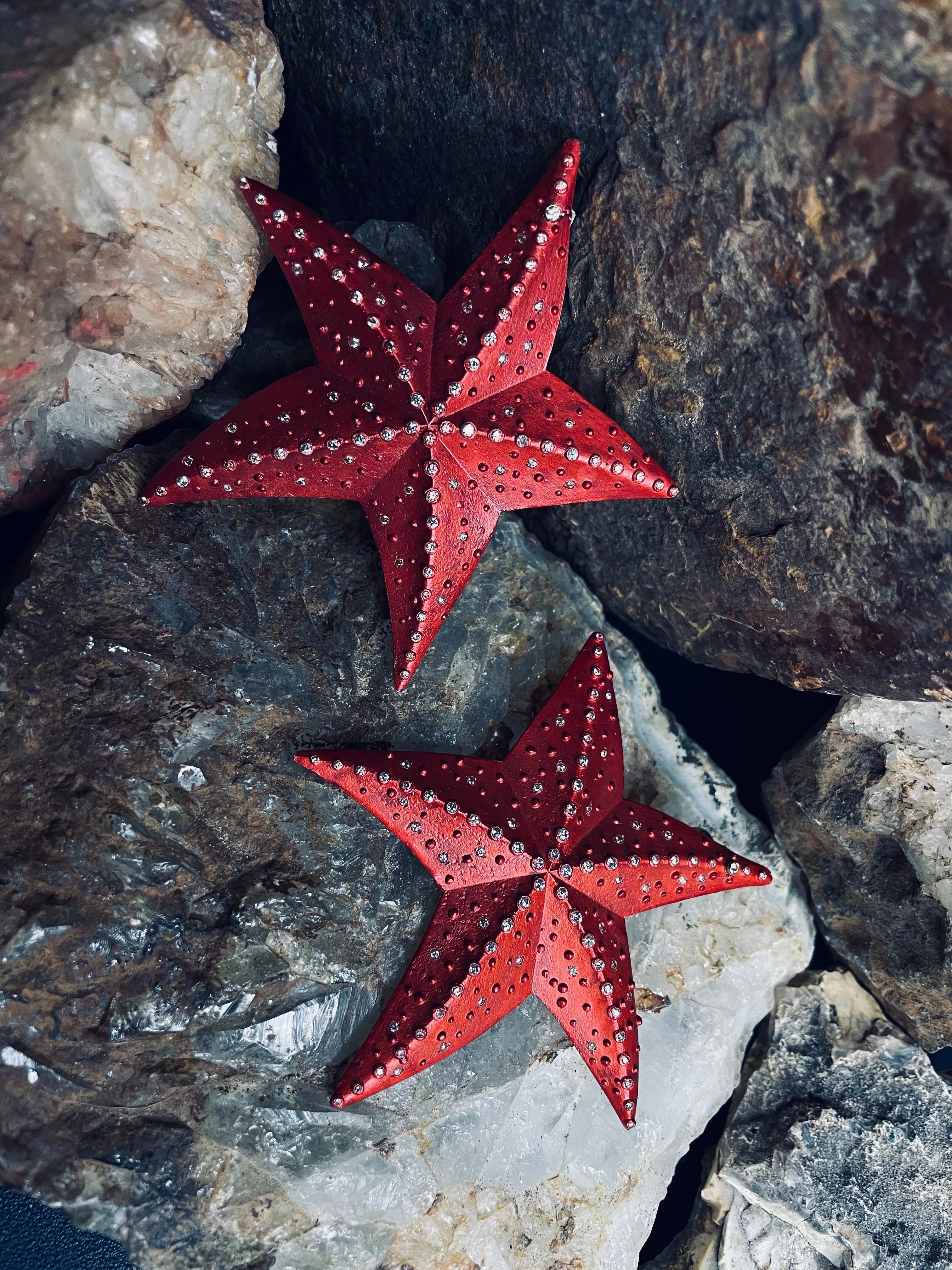 Starfish Earrings sold by The Jewelry Edit product image thumbnail 2