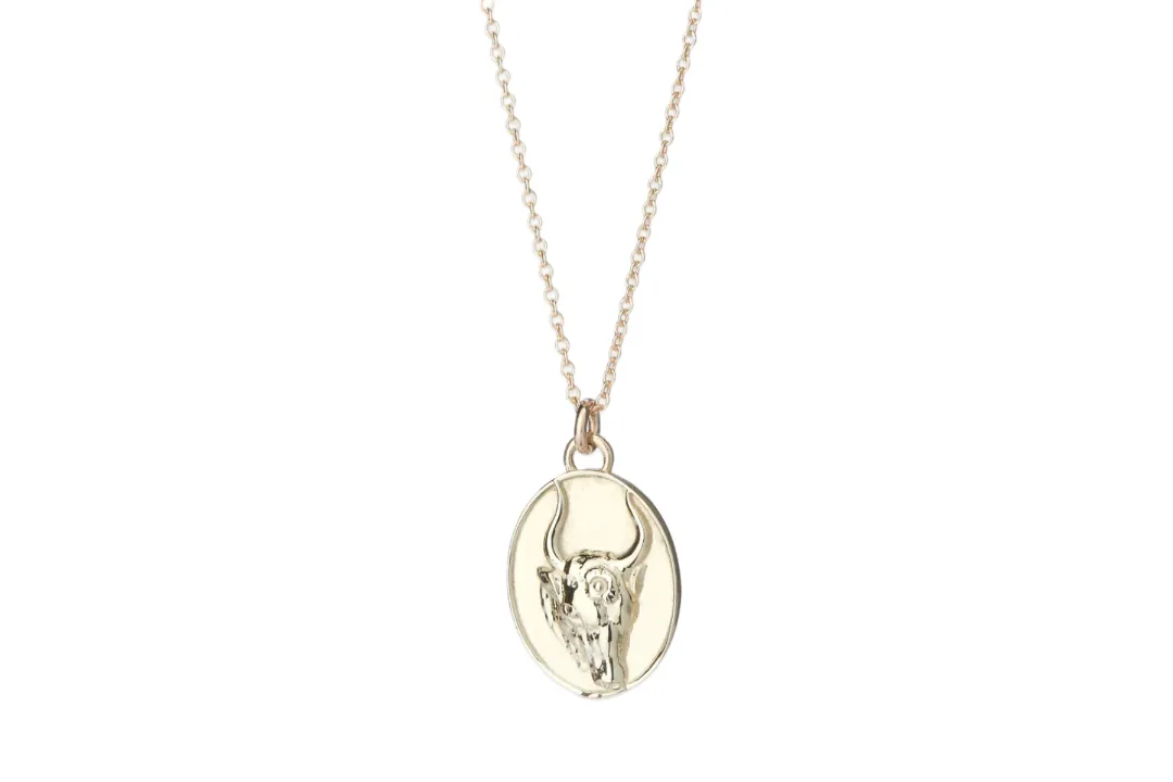 Zodiac Pendant Necklace in Gold sold by The Jewelry Edit product image thumbnail 4