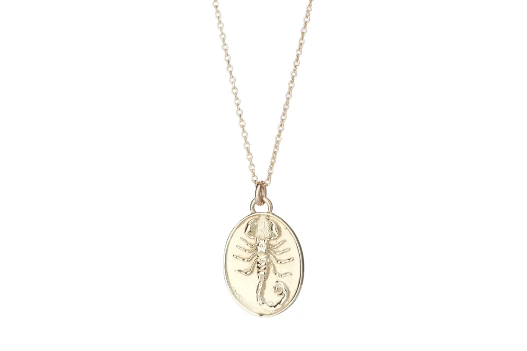Zodiac Pendant Necklace in Gold sold by The Jewelry Edit product image thumbnail 5