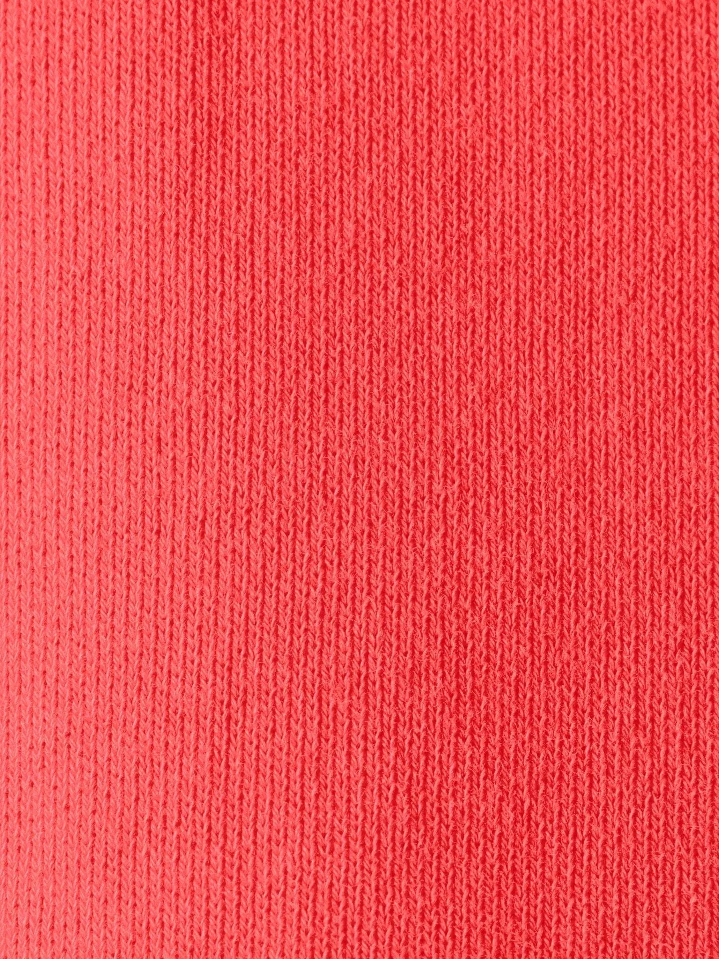 Shayne Sweatshort Jetty Red (Final Sale) sold by Curio product image thumbnail 5