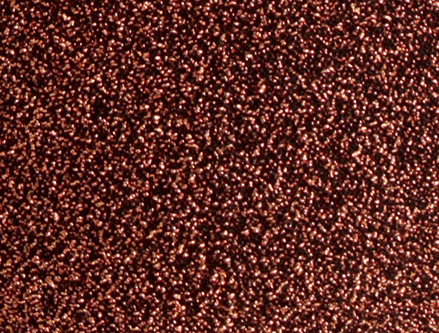 Flamboyant Bandeau sold by Curio product image thumbnail 5