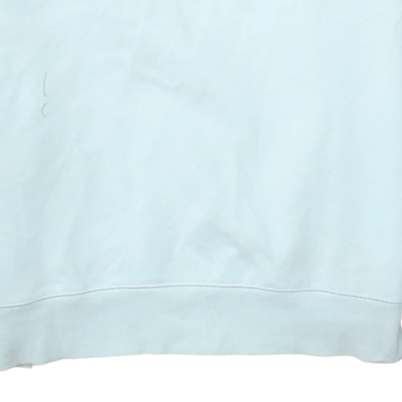 Carhartt Pale Blue Sweatshirt Men's Large Embroidered Sleeve Logo Raglan Crewneck Pullover sold by Vintage Club product image thumbnail 4