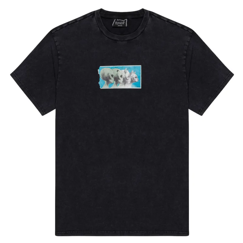 RIPNDIP Nerm Geo T-Shirt - Black Vintage Wash sold by CCS