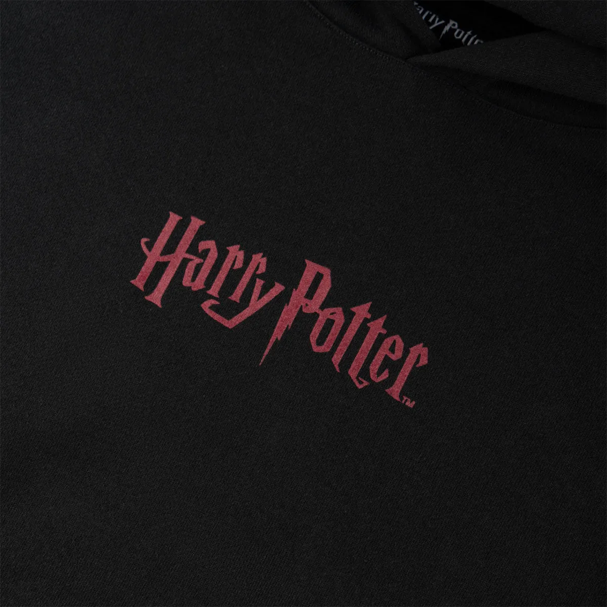 Welcome x Harry Potter Arrival Hoodie - Black sold by CCS product image thumbnail 4
