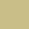 Lakai Newport Shoes - Light Yellow Suede sold by CCS product image thumbnail 5
