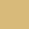 Casio A700WMG-9AVT Watch - Gold sold by CCS product image thumbnail 5