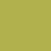 Vans Skate Curren Caples Shoes - Fluro Lime/Black sold by CCS product image thumbnail 5