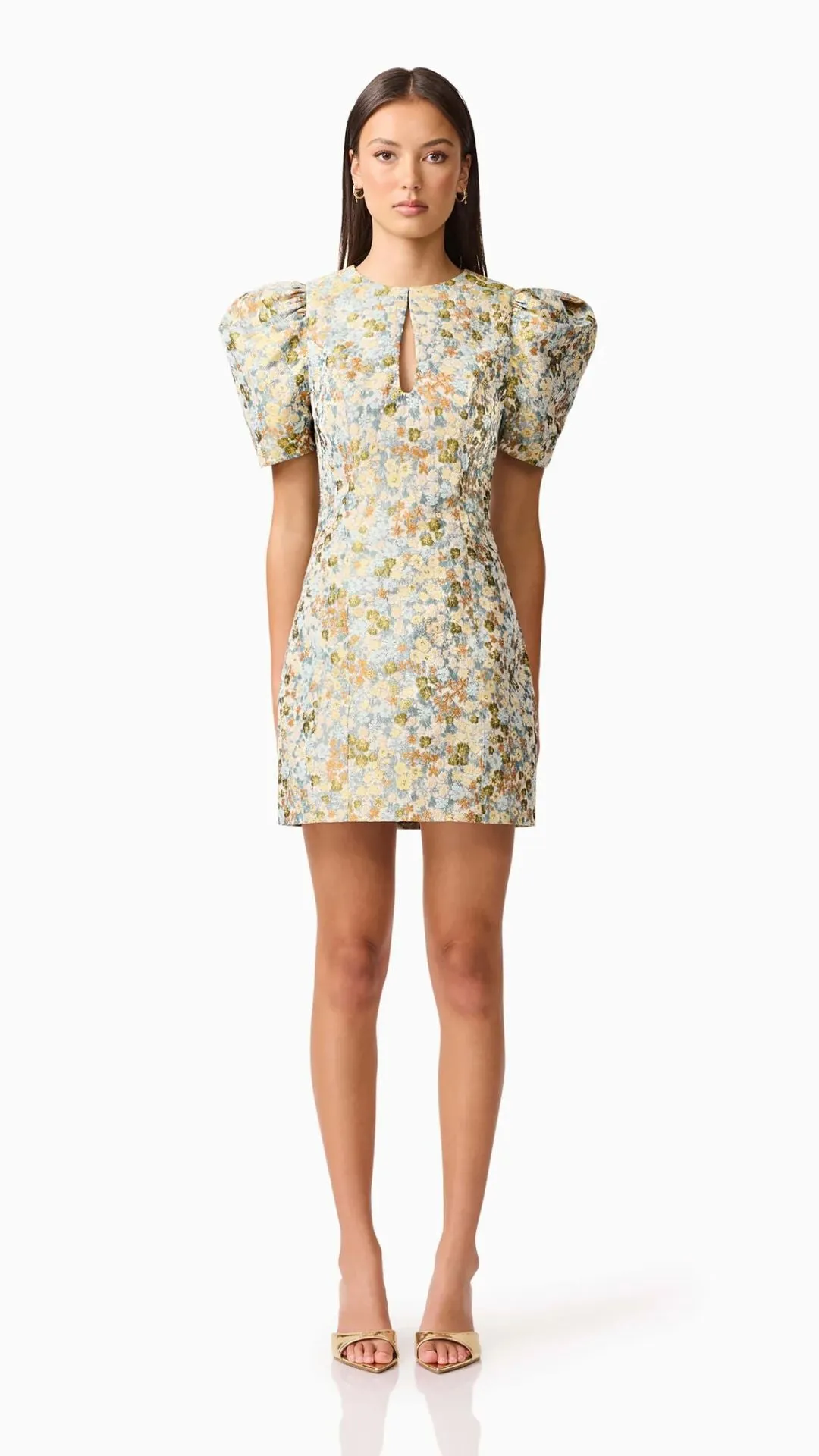 Tasmin Puff Sleeve Mini Dress sold by Isola Rancho Santa Fe product image thumbnail 2