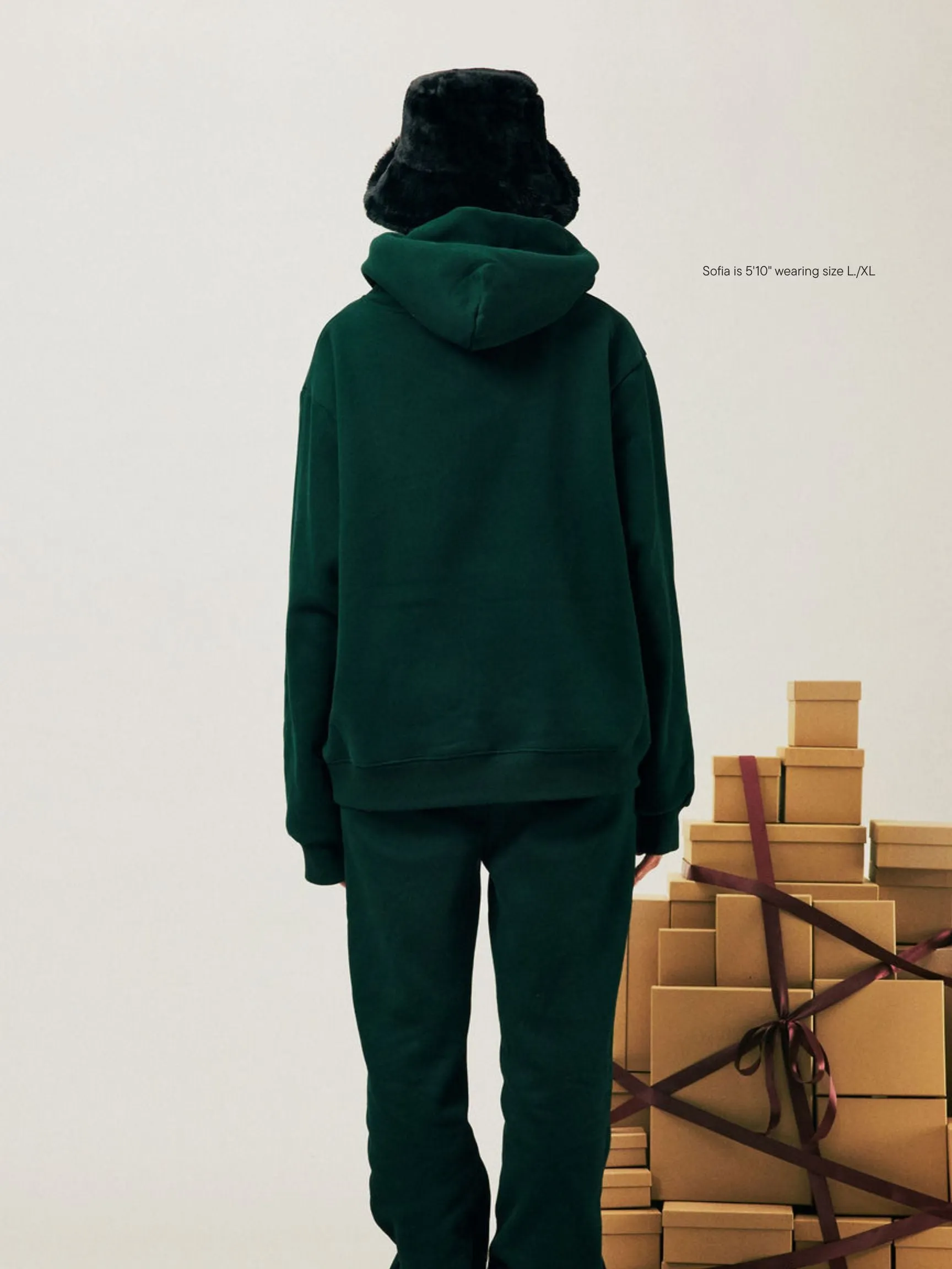 Holiday Varsity Hoodie sold by Parke Official product image thumbnail 4
