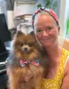 Patriotic Chinoiserie Floral Dog Bow Clip and Dog Collar Bowtie sold by Roxie’s Picks