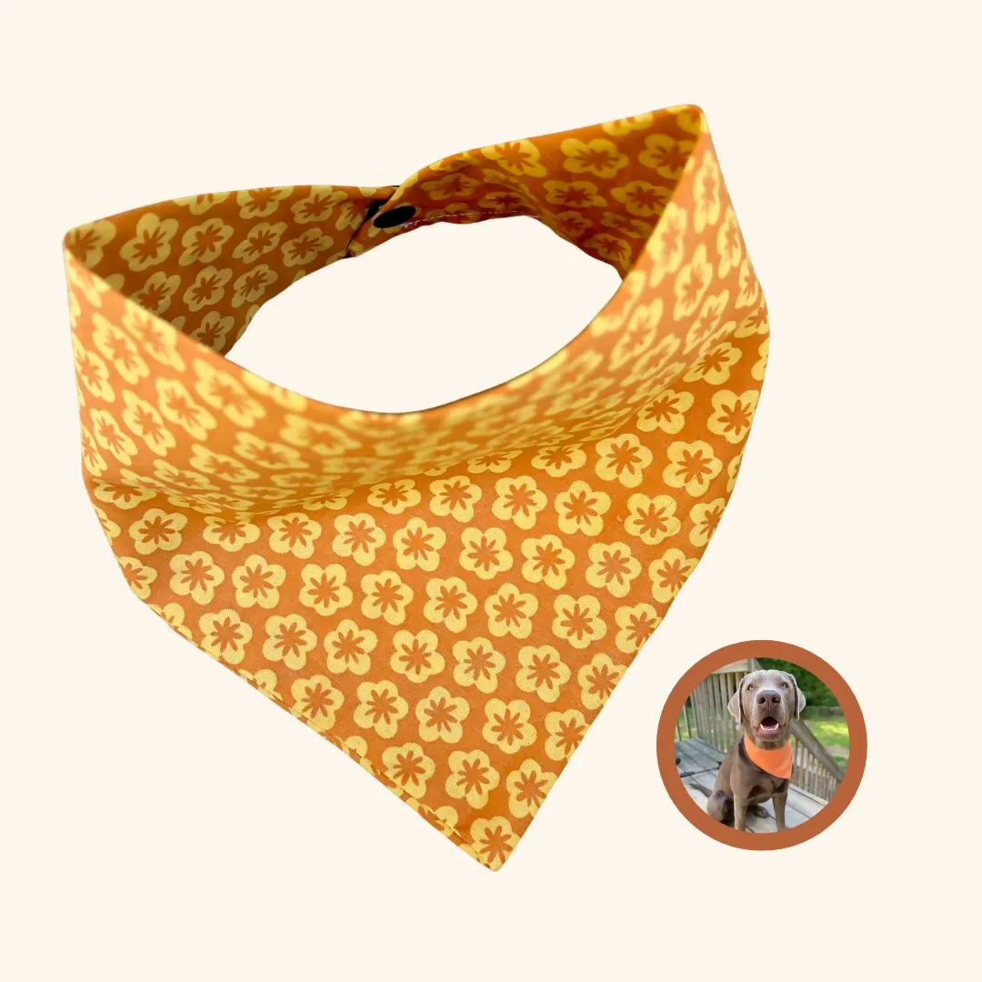 Spring Dog Bandana | Handmade | Premium quality dog accessories sold by Roxie’s Picks