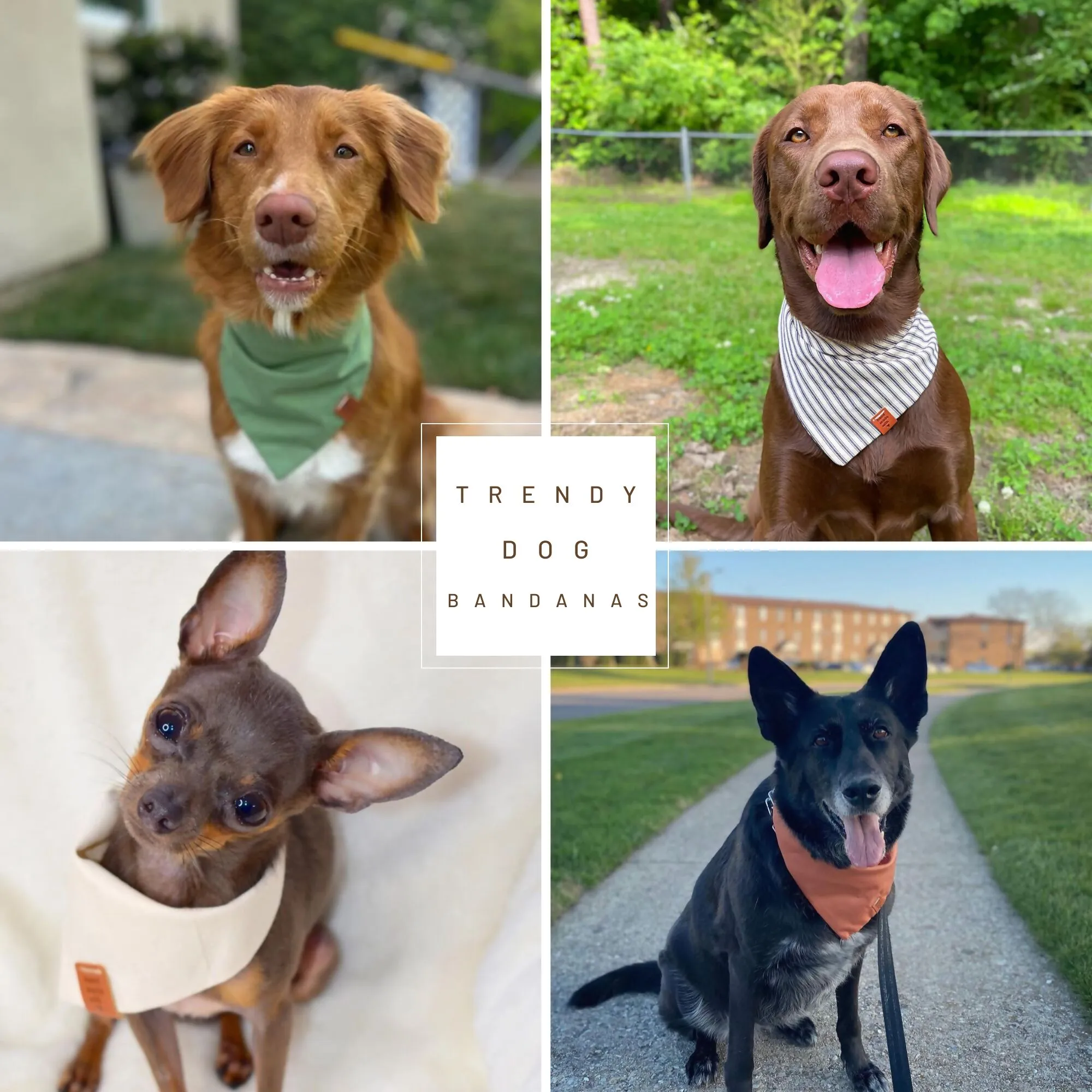 Spring Dog Bandana | Handmade | Premium quality dog accessories sold by Roxie’s Picks product image thumbnail 3
