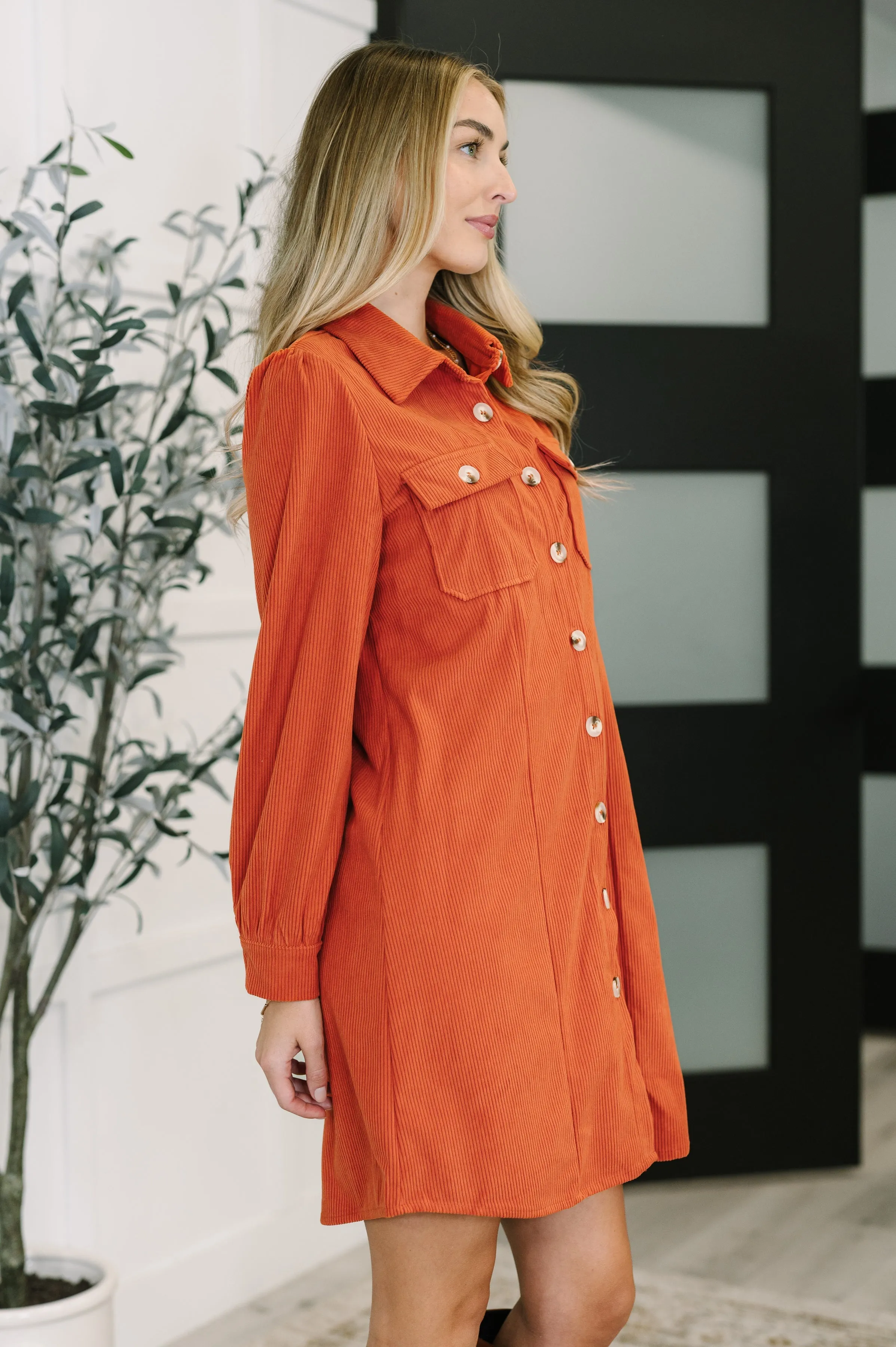 Clever in Corduroy Shirt Dress sold by Roxie’s Picks product image thumbnail 4