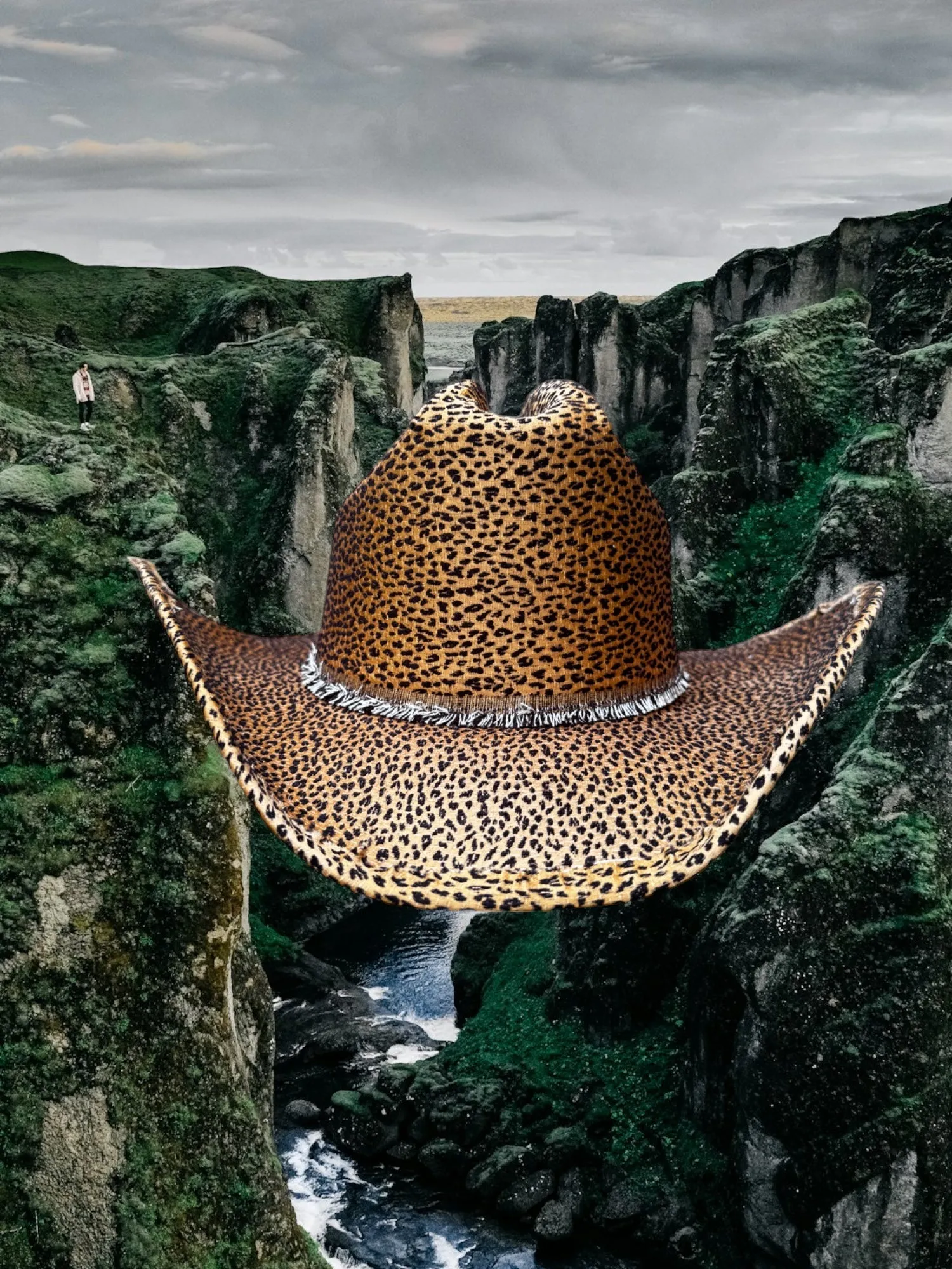 Golden Savannah sold by Zandria