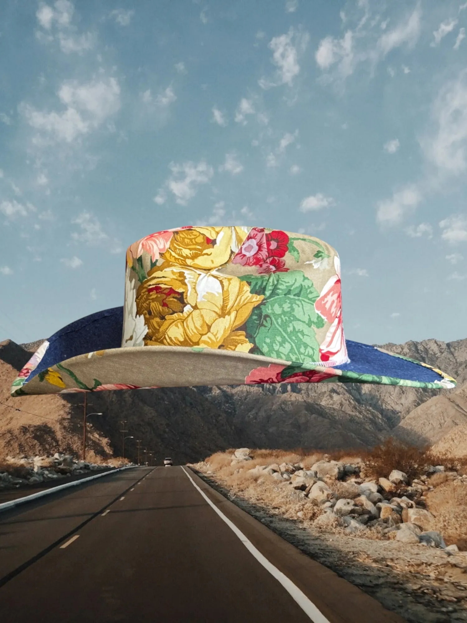 Denim & Daisies sold by Zandria product image thumbnail 4