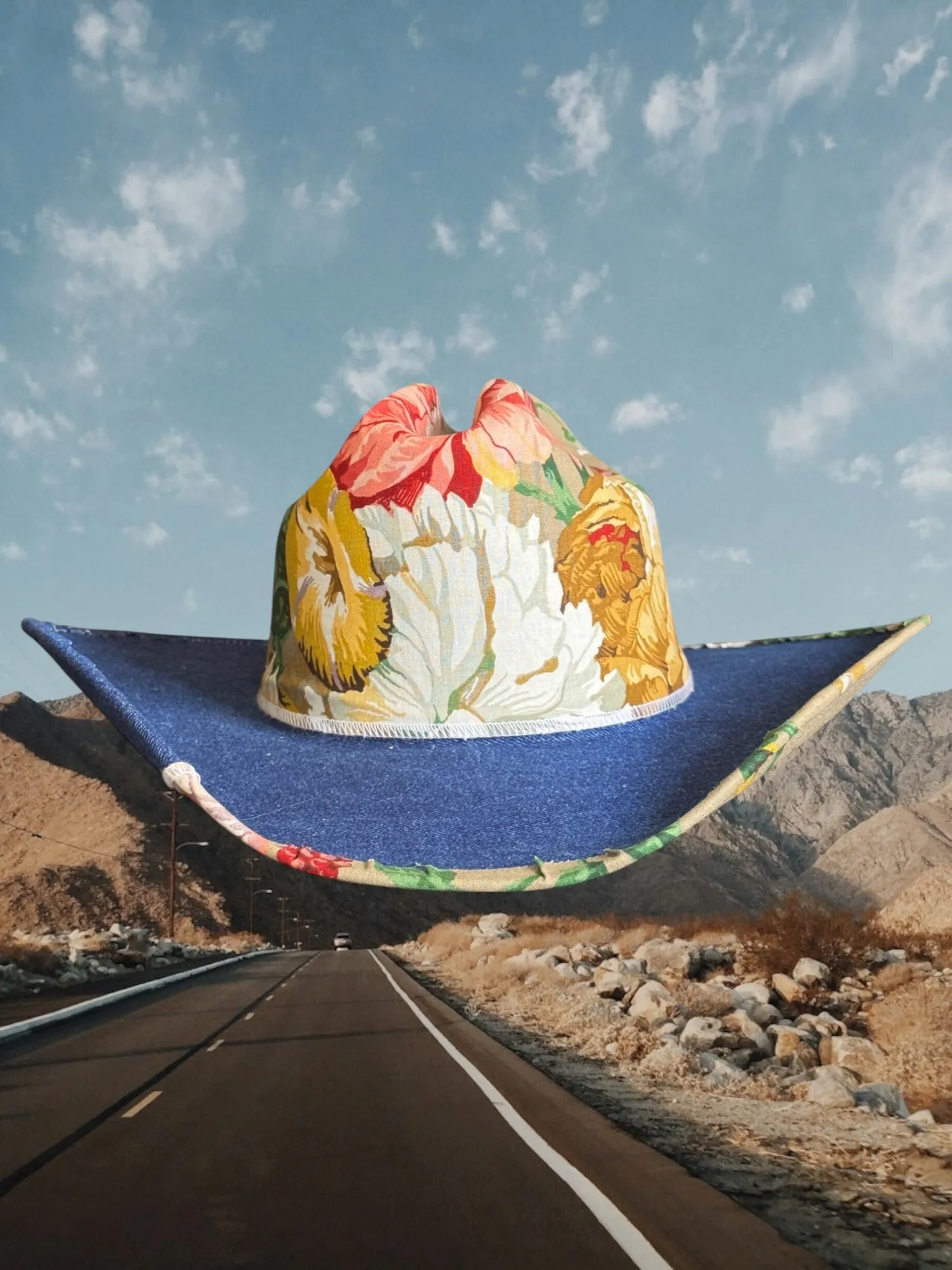 Denim & Daisies sold by Zandria