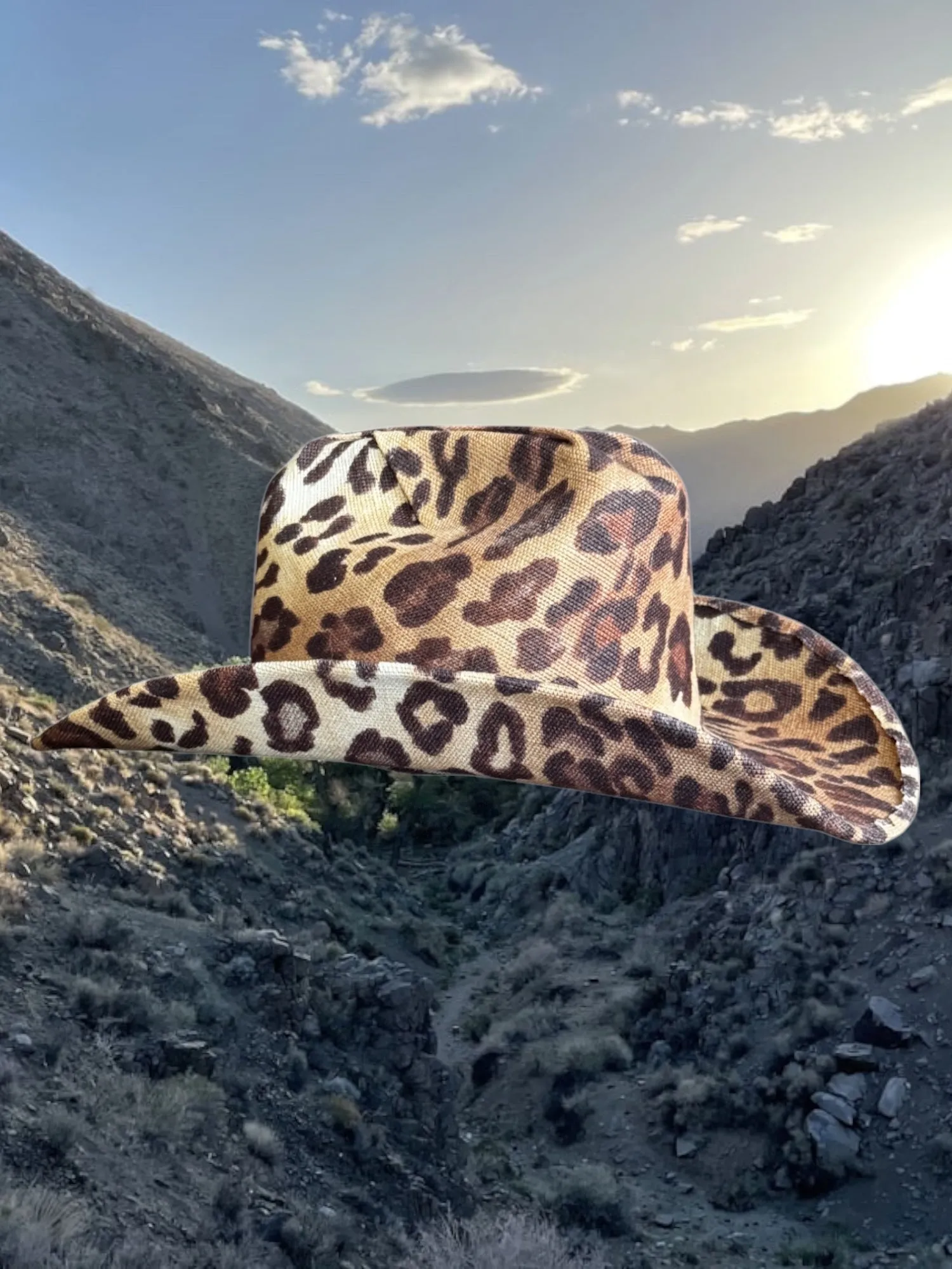 Desert Cheetah sold by Zandria product image thumbnail 4