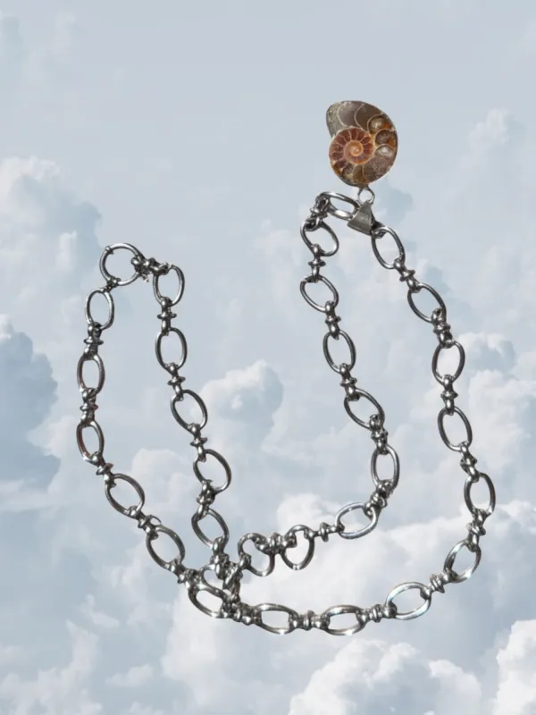 Ammonite Fossil Silver made by Zandria