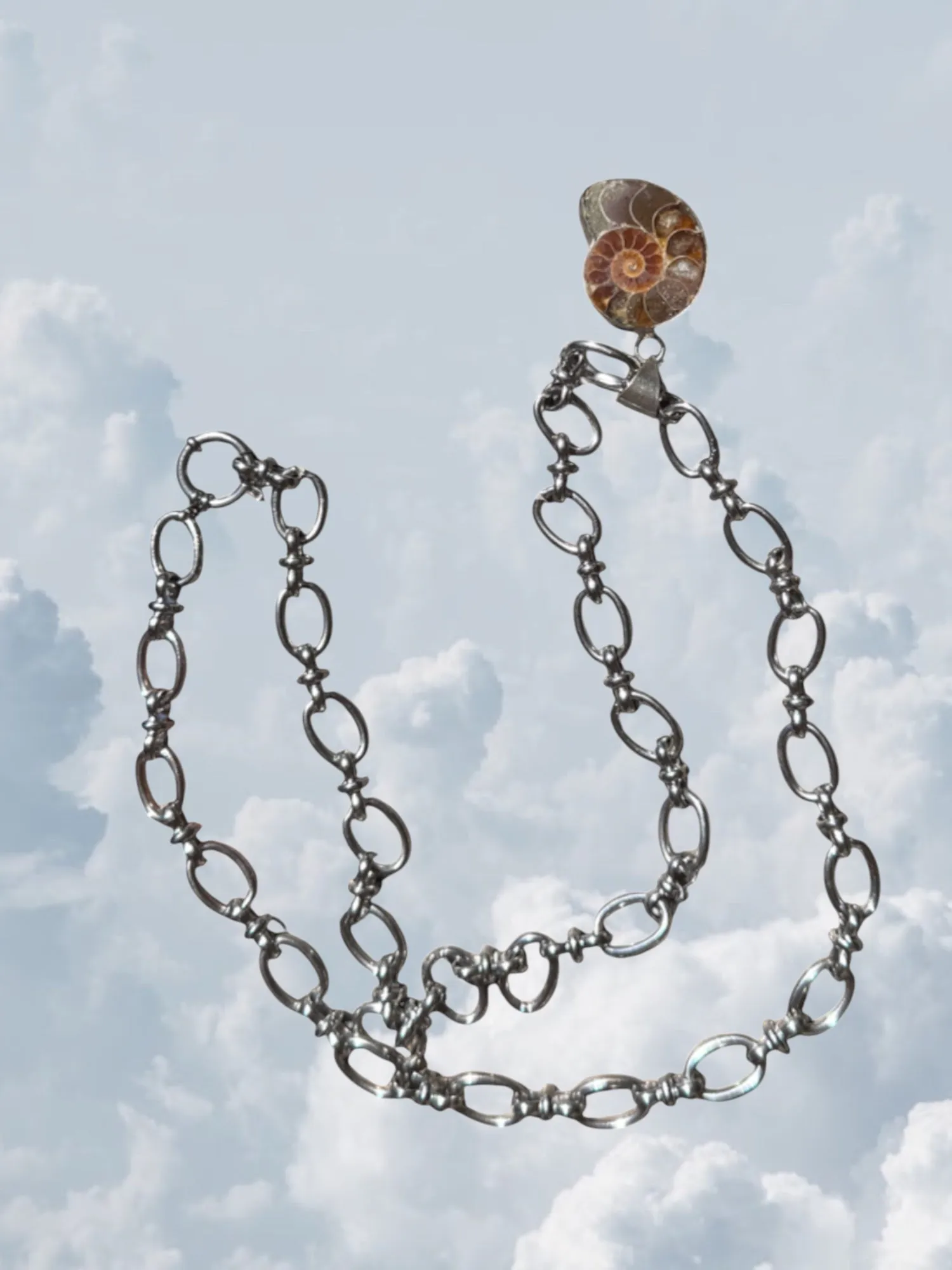 Ammonite Fossil Silver sold by Zandria