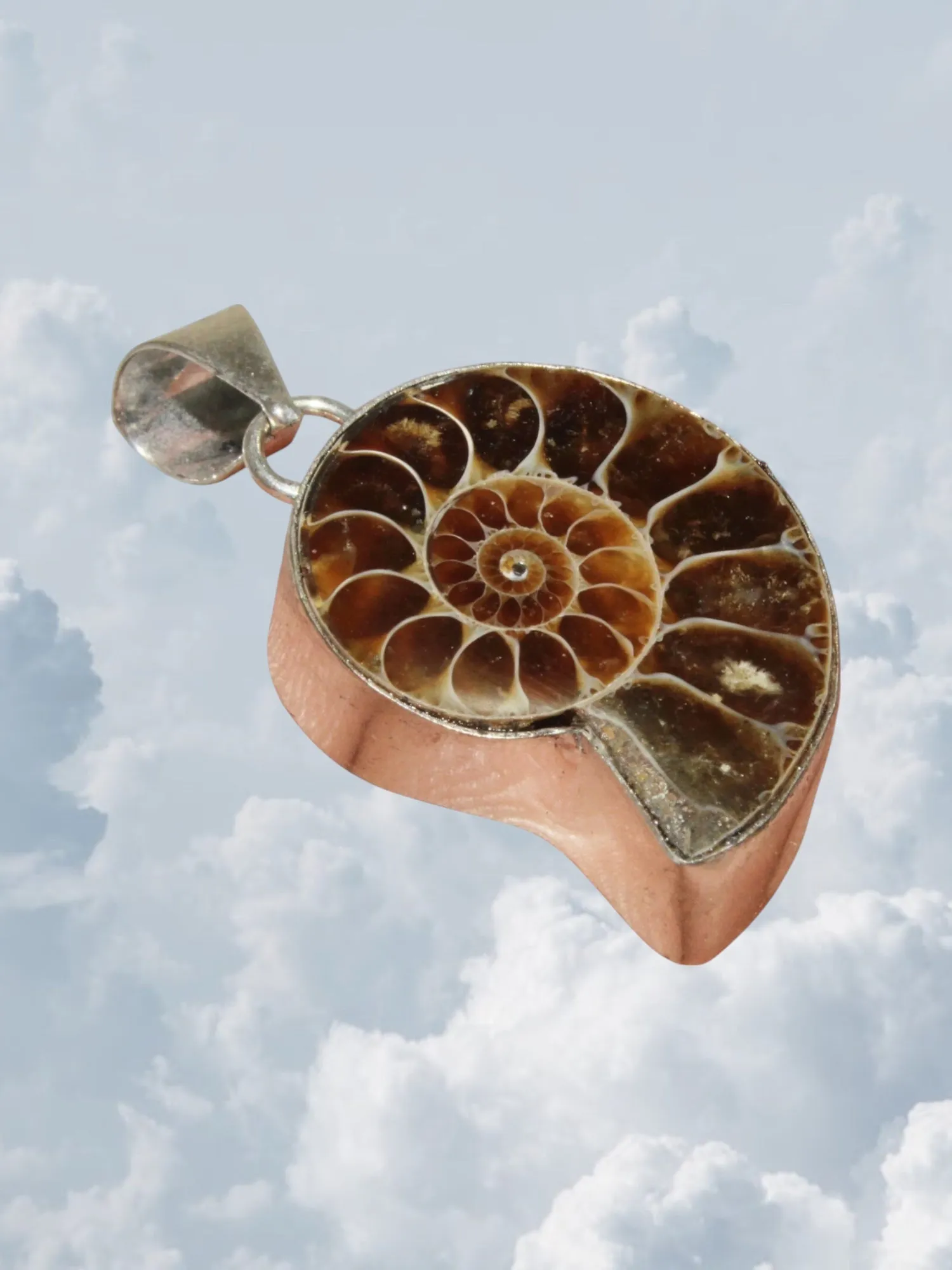 Ammonite Fossil Silver sold by Zandria product image thumbnail 2