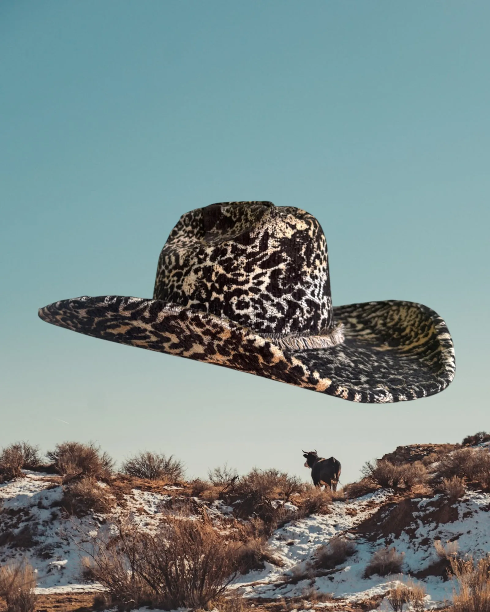 Tumblecat sold by Zandria product image thumbnail 3