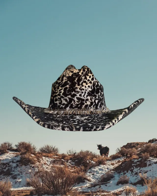 Tumblecat sold by Zandria