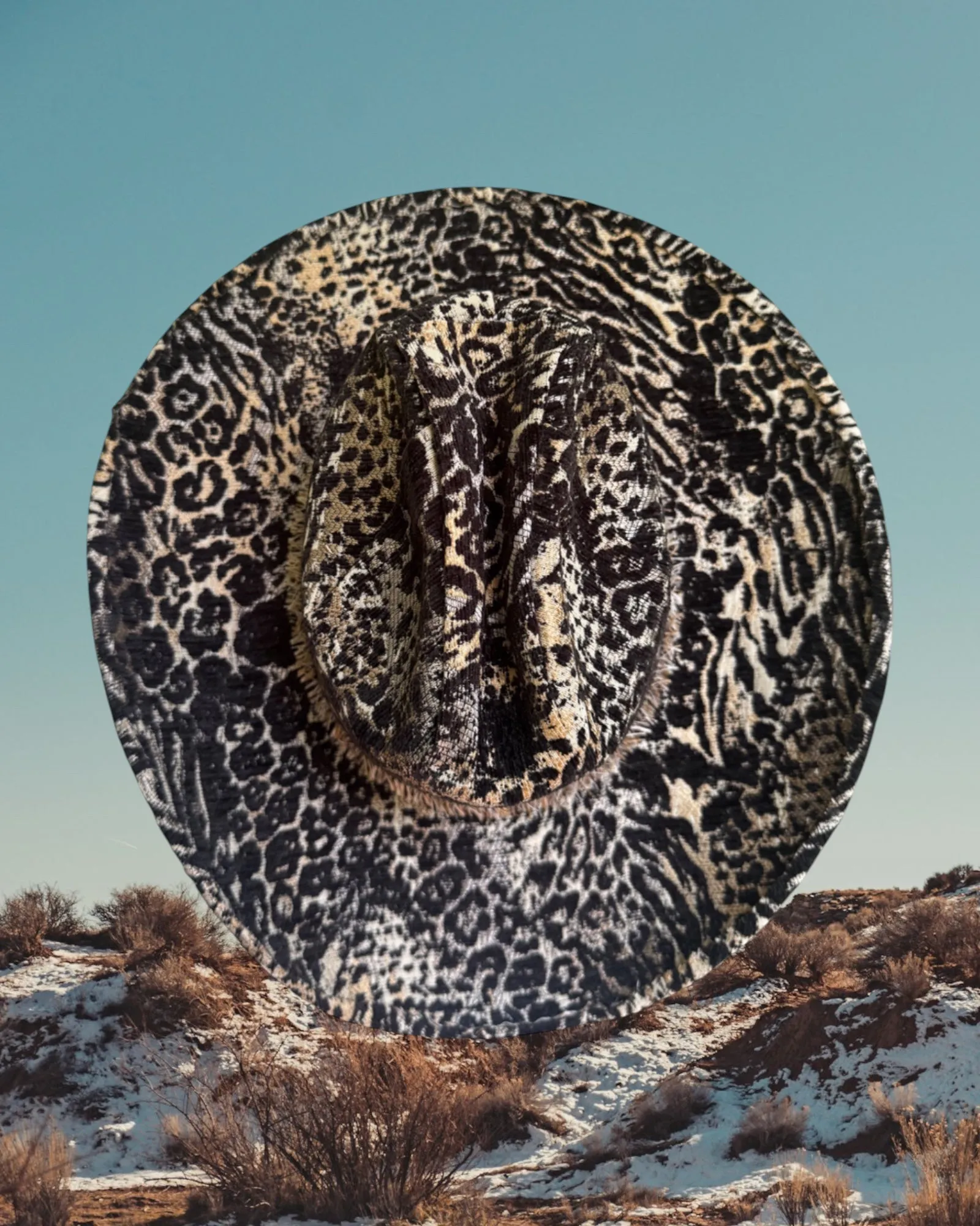 Tumblecat sold by Zandria product image thumbnail 4