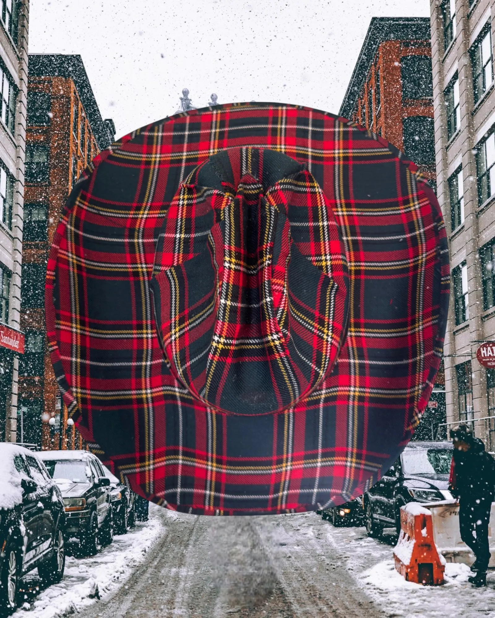 Highland Forest sold by Zandria product image thumbnail 3